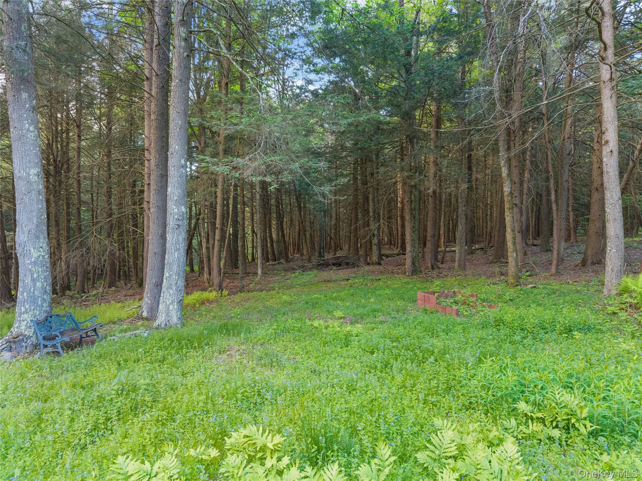 202 Blakesley Road, Out Of Area, NY, 2 Bedrooms Bedrooms, 6 Rooms Rooms,1 BathroomBathrooms,Residential,For Rent,Blakesley,0,1008108 202 Blakesley Road, Out Of Area, NY, 2 Bedrooms Bedrooms, 6 Rooms Rooms,1 BathroomBathrooms,Residential,For Rent,Blakesley,0,1008108