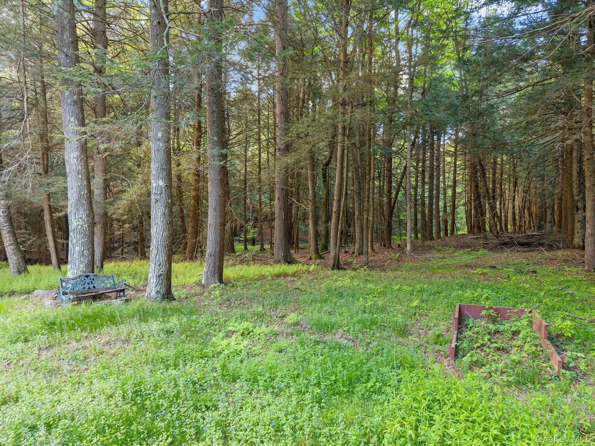 202 Blakesley Road, Out Of Area, NY, 2 Bedrooms Bedrooms, 6 Rooms Rooms,1 BathroomBathrooms,Residential,For Rent,Blakesley,0,1008108 202 Blakesley Road, Out Of Area, NY, 2 Bedrooms Bedrooms, 6 Rooms Rooms,1 BathroomBathrooms,Residential,For Rent,Blakesley,0,1008108