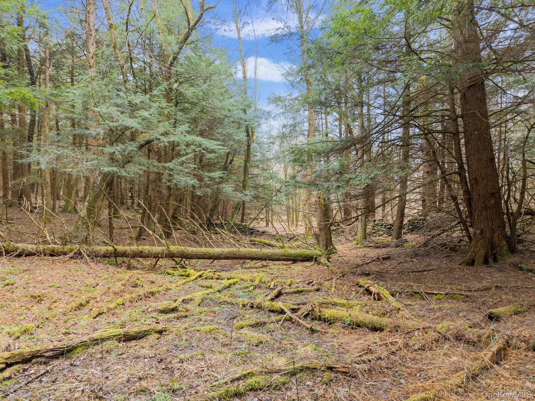 202 Blakesley Road, Out Of Area, NY, 2 Bedrooms Bedrooms, 6 Rooms Rooms,1 BathroomBathrooms,Residential,For Rent,Blakesley,0,1008108 202 Blakesley Road, Out Of Area, NY, 2 Bedrooms Bedrooms, 6 Rooms Rooms,1 BathroomBathrooms,Residential,For Rent,Blakesley,0,1008108