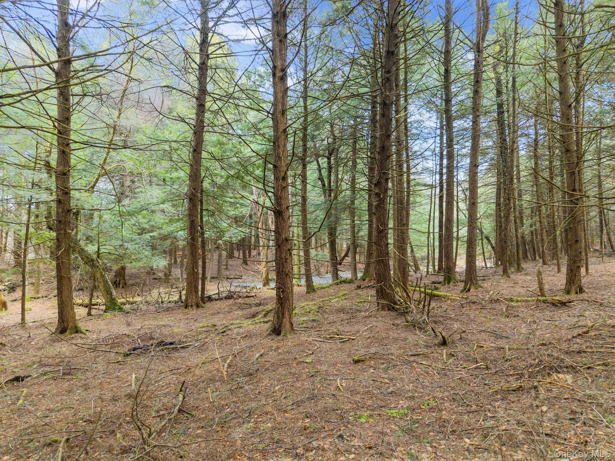 202 Blakesley Road, Out Of Area, NY, 2 Bedrooms Bedrooms, 6 Rooms Rooms,1 BathroomBathrooms,Residential,For Rent,Blakesley,0,1008108 202 Blakesley Road, Out Of Area, NY, 2 Bedrooms Bedrooms, 6 Rooms Rooms,1 BathroomBathrooms,Residential,For Rent,Blakesley,0,1008108