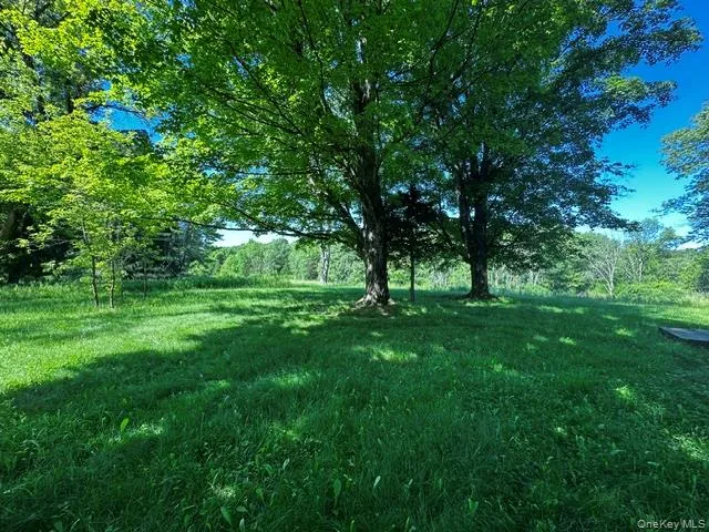 Expansive grassy grounds featuring mature trees and distant woodland Expansive grassy grounds featuring mature trees and distant woodland
