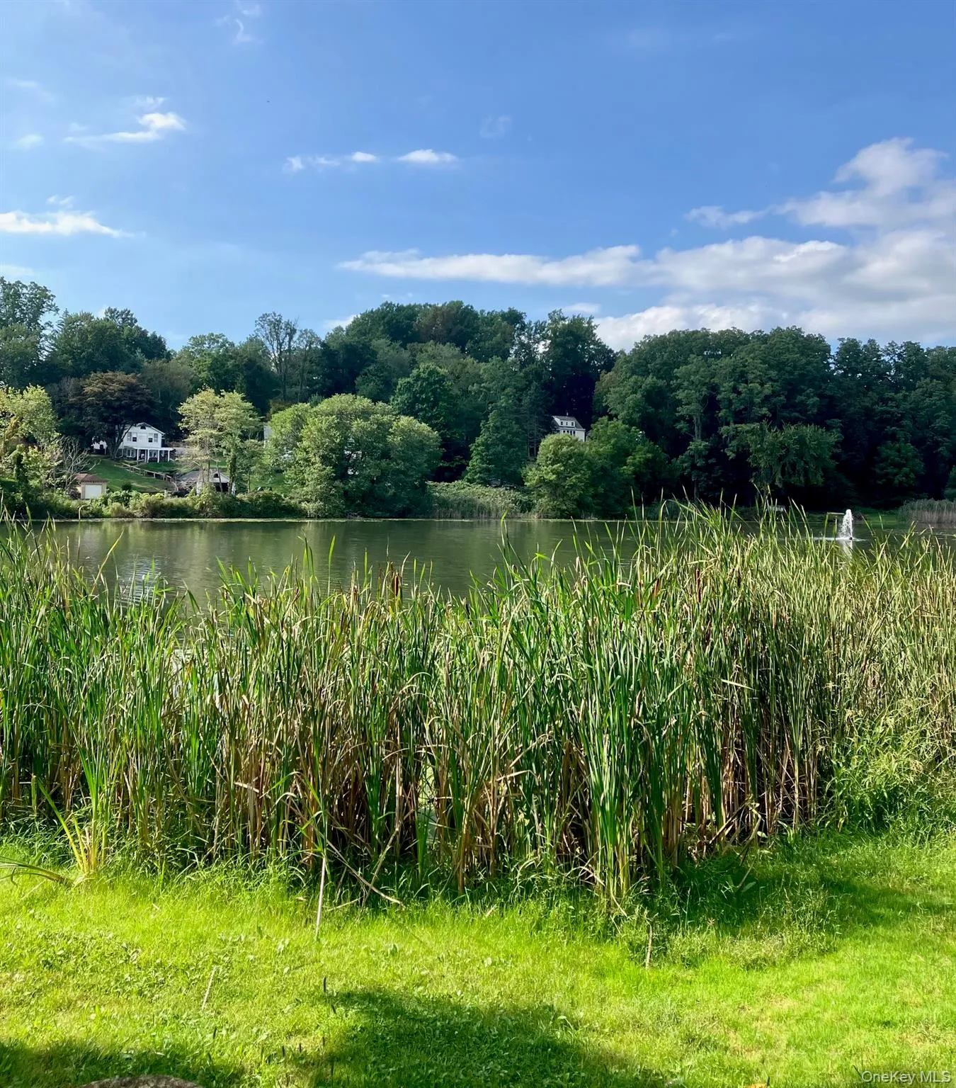 2897 Hyatt Street, Yorktown, NY, 2 Bedrooms Bedrooms, 8 Rooms Rooms,2 BathroomsBathrooms,Residential,For Rent,Hyatt,0,1008119 2897 Hyatt Street, Yorktown, NY, 2 Bedrooms Bedrooms, 8 Rooms Rooms,2 BathroomsBathrooms,Residential,For Rent,Hyatt,0,1008119
