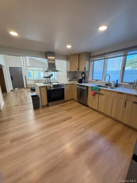Kitchen with a peninsula, stainless steel appliances, light wood-style floors, wall chimney exhaust hood, and modern cabinets Kitchen with a peninsula, stainless steel appliances, light wood-style floors, wall chimney exhaust hood, and modern cabinets