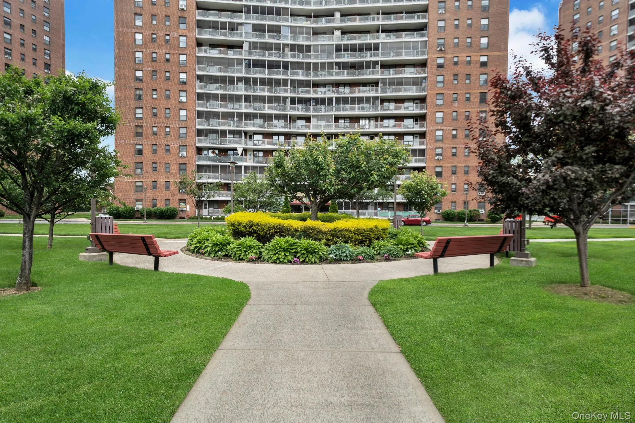 Park Park