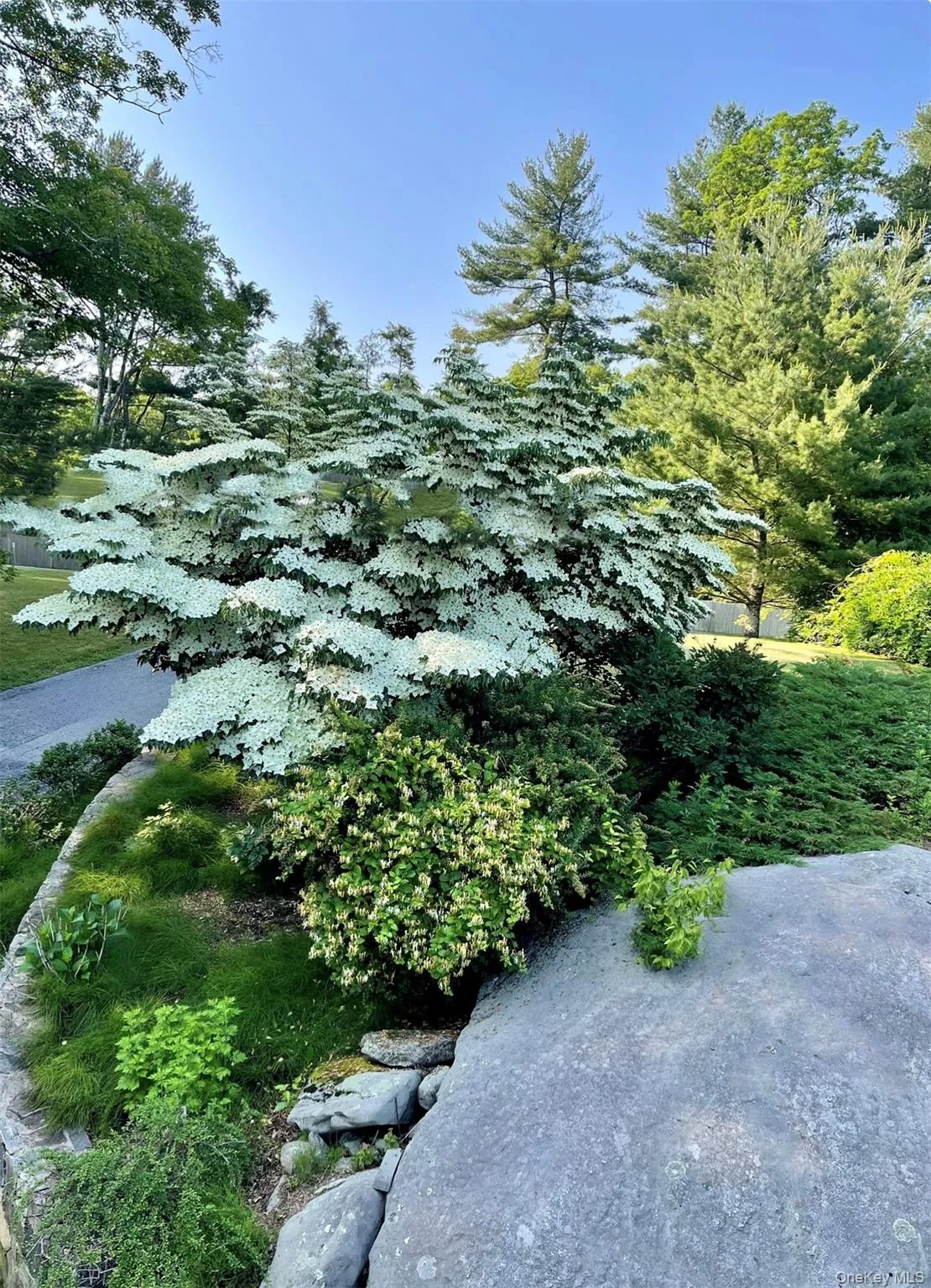 236 Hardscrabble Road, North Salem, NY, 5 Bedrooms Bedrooms, 9 Rooms Rooms,4 BathroomsBathrooms,Residential,For Rent,Hardscrabble,0,1008132 236 Hardscrabble Road, North Salem, NY, 5 Bedrooms Bedrooms, 9 Rooms Rooms,4 BathroomsBathrooms,Residential,For Rent,Hardscrabble,0,1008132