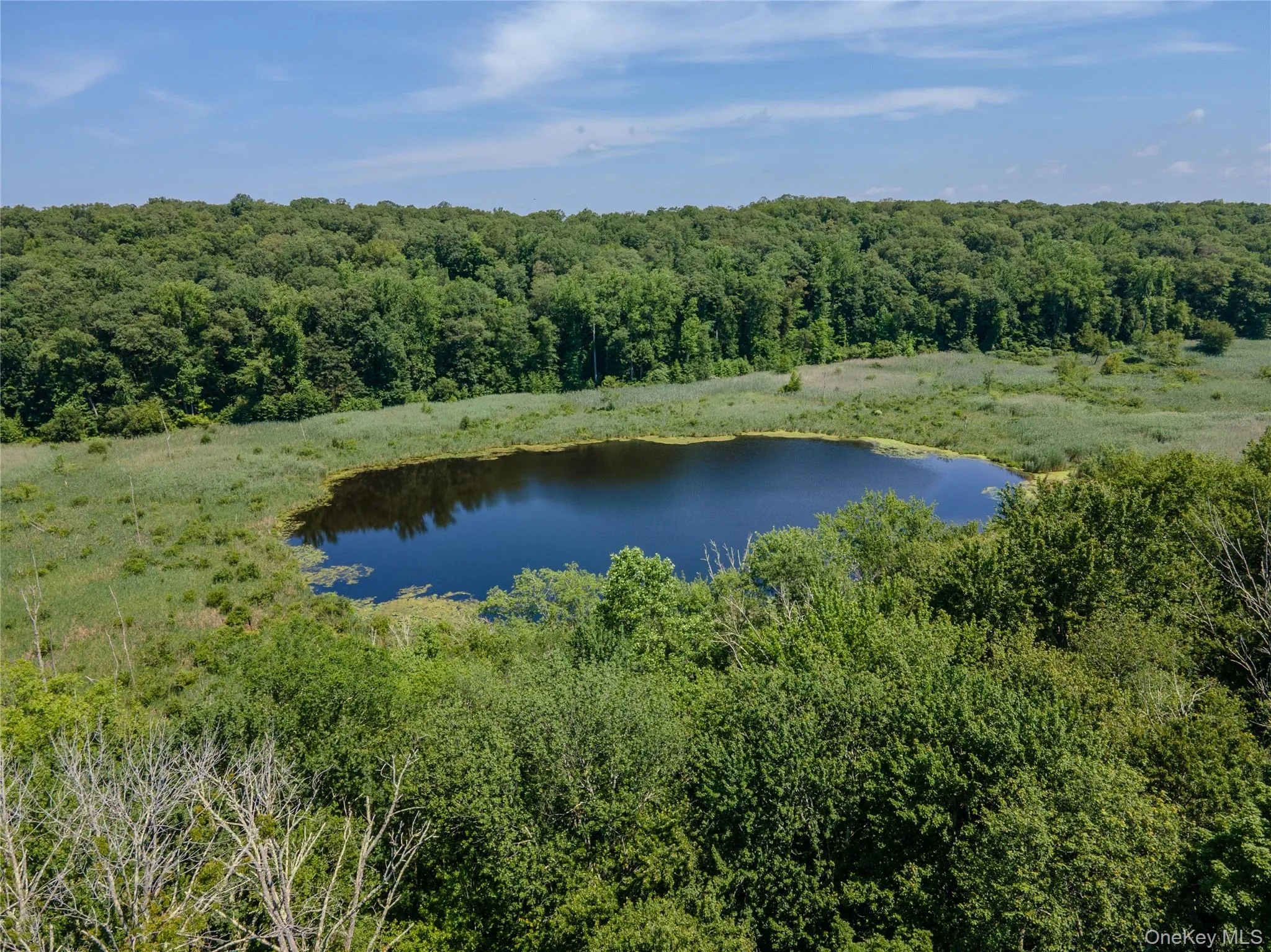 236 Hardscrabble Road, North Salem, NY, 5 Bedrooms Bedrooms, 9 Rooms Rooms,4 BathroomsBathrooms,Residential,For Rent,Hardscrabble,0,1008132 236 Hardscrabble Road, North Salem, NY, 5 Bedrooms Bedrooms, 9 Rooms Rooms,4 BathroomsBathrooms,Residential,For Rent,Hardscrabble,0,1008132