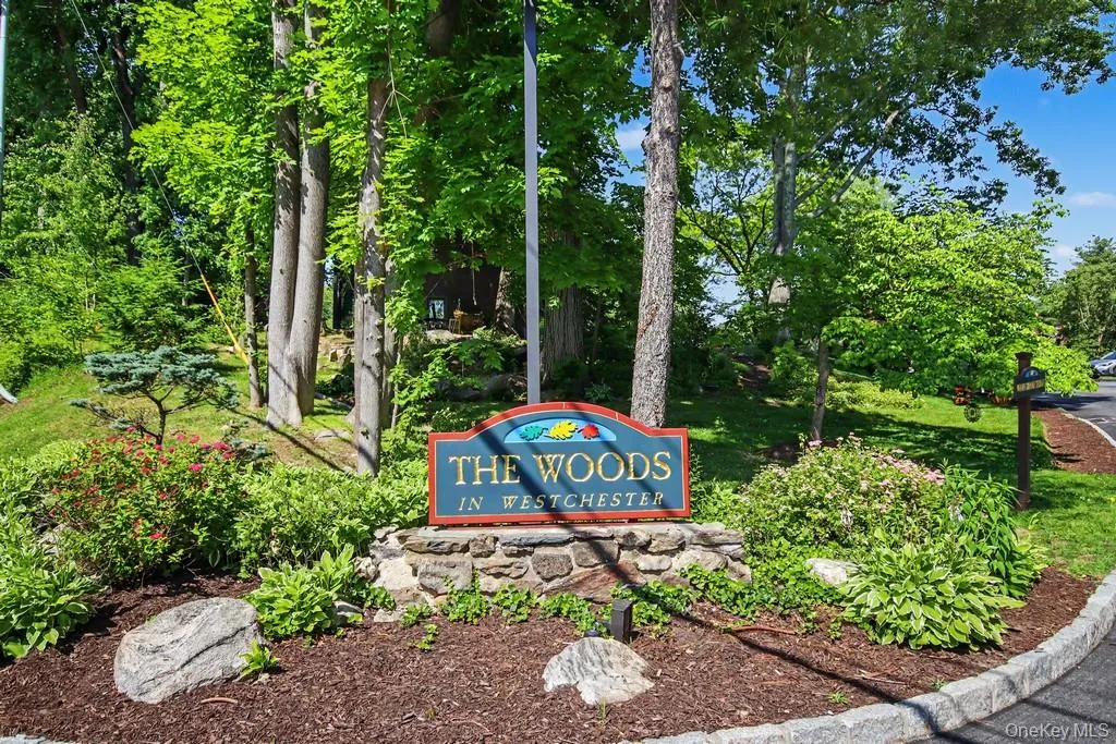 Welcome to The Woods! Welcome to The Woods!