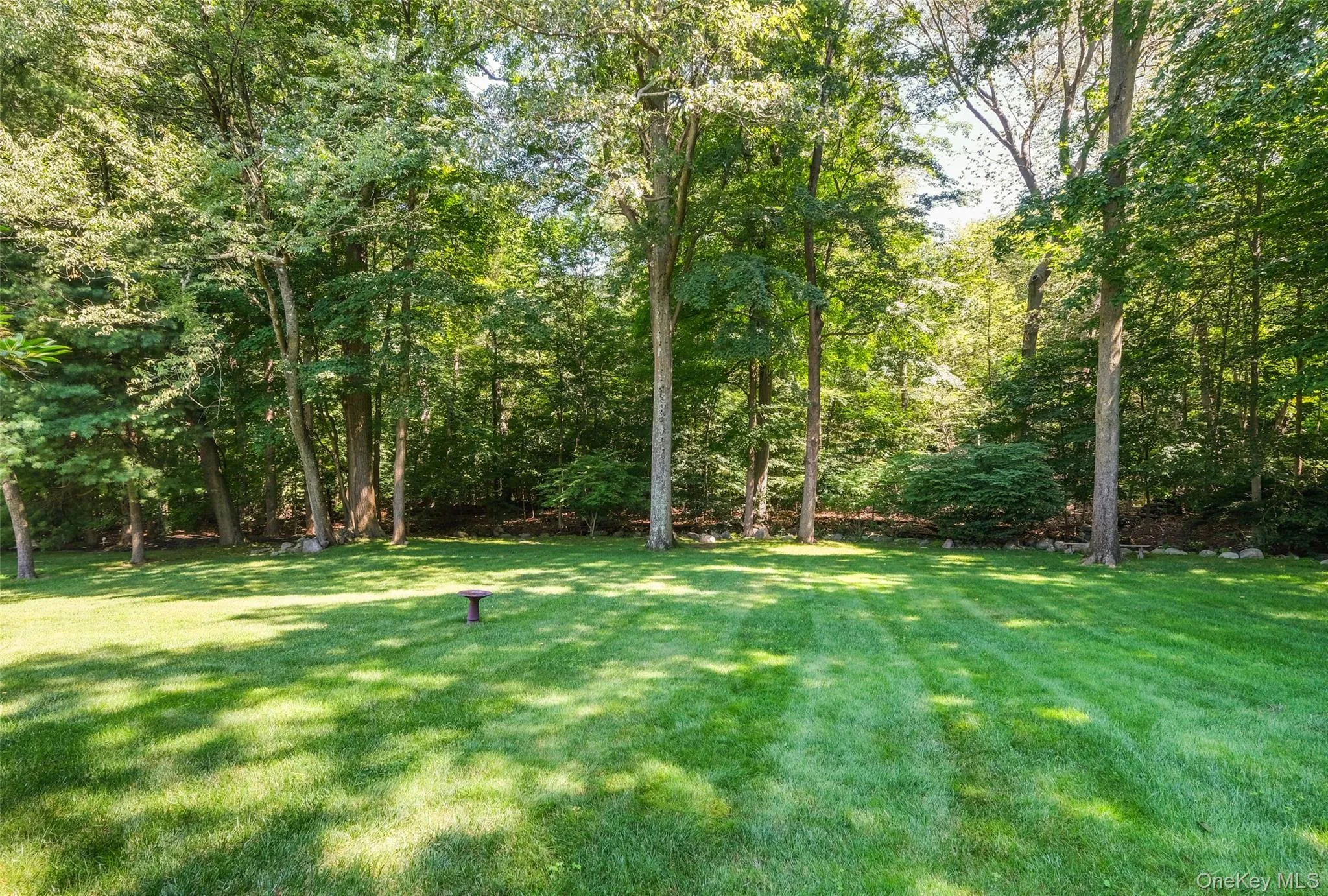Backs up to 236 acres of park setting for ultimate privacy while still being in a highly coveted neighborhood location Backs up to 236 acres of park setting for ultimate privacy while still being in a highly coveted neighborhood location