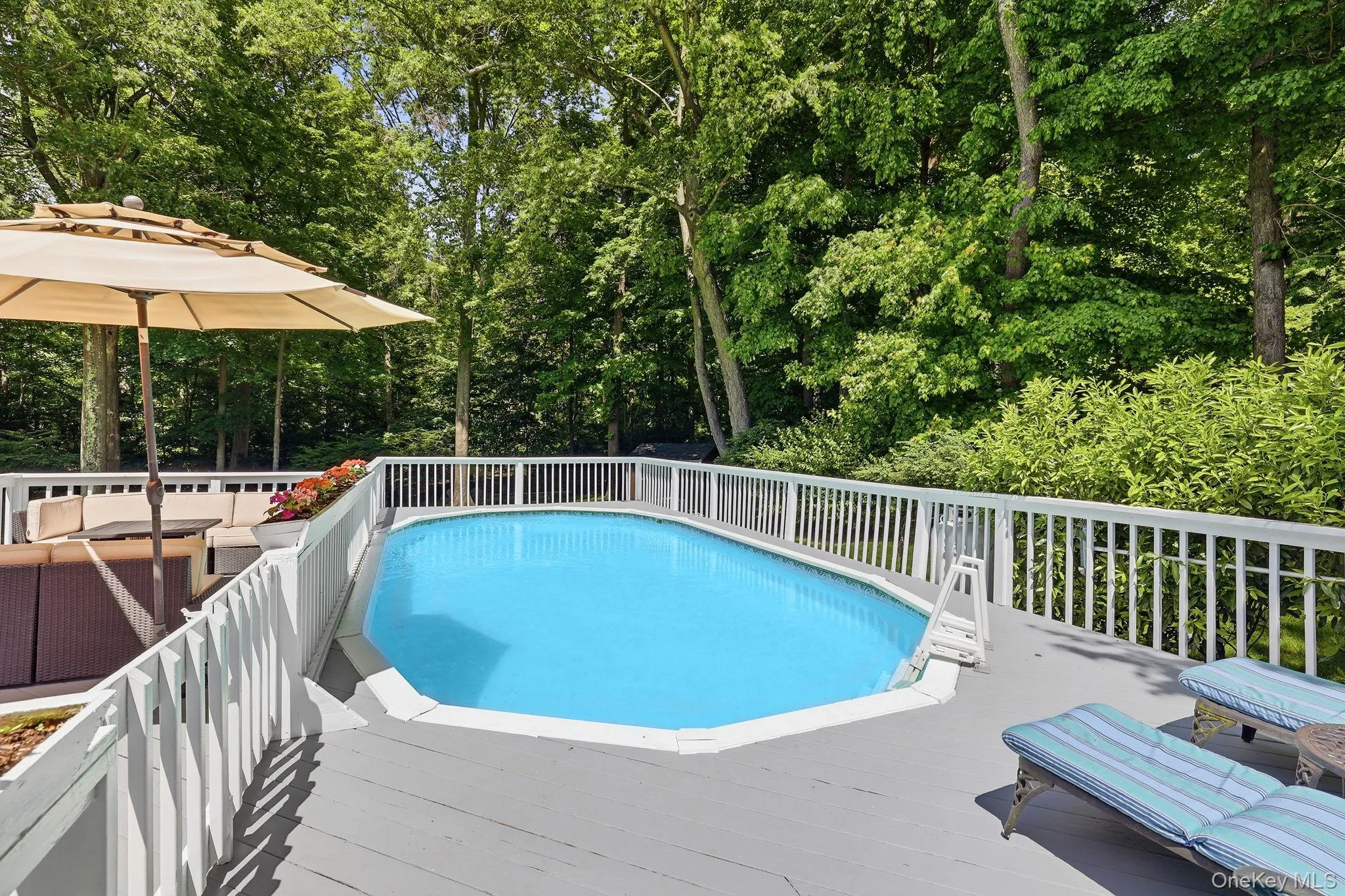 Fully enclosed large heated swimming pool and lounge area Fully enclosed large heated swimming pool and lounge area