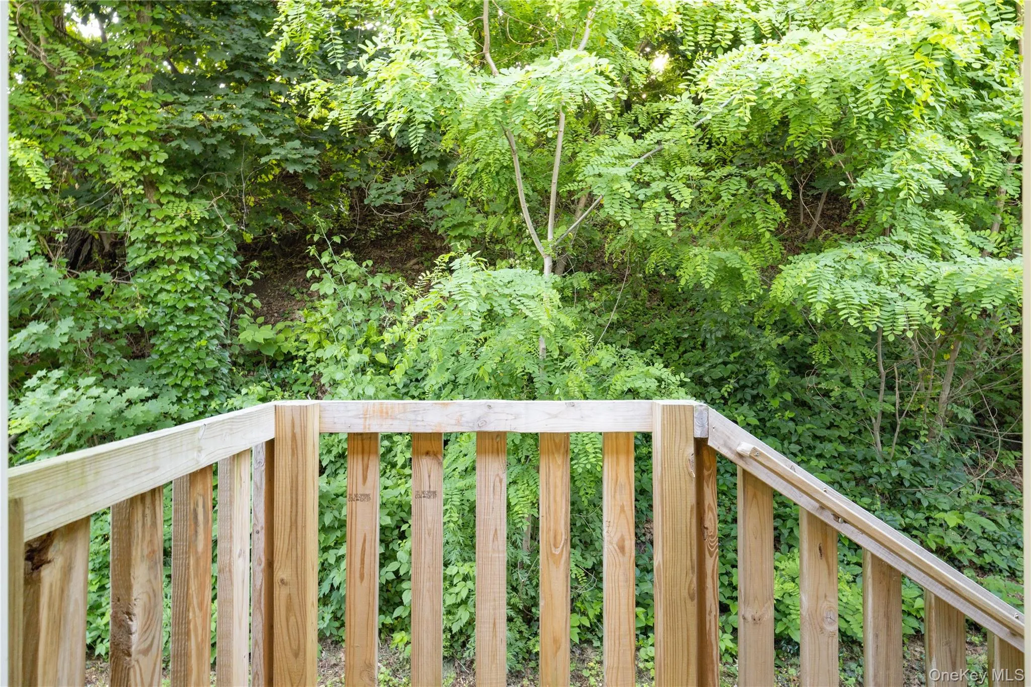 Steps and mini balcony at the rear of the home. Steps and mini balcony at the rear of the home.