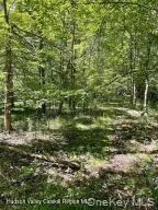 L-33 Harring Road, Cairo, NY, ,Land,For Rent,Harring,0,1008211 L-33 Harring Road, Cairo, NY, ,Land,For Rent,Harring,0,1008211