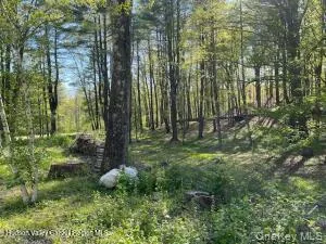 L-33 Harring Road, Cairo, NY, ,Land,For Rent,Harring,0,1008211 L-33 Harring Road, Cairo, NY, ,Land,For Rent,Harring,0,1008211