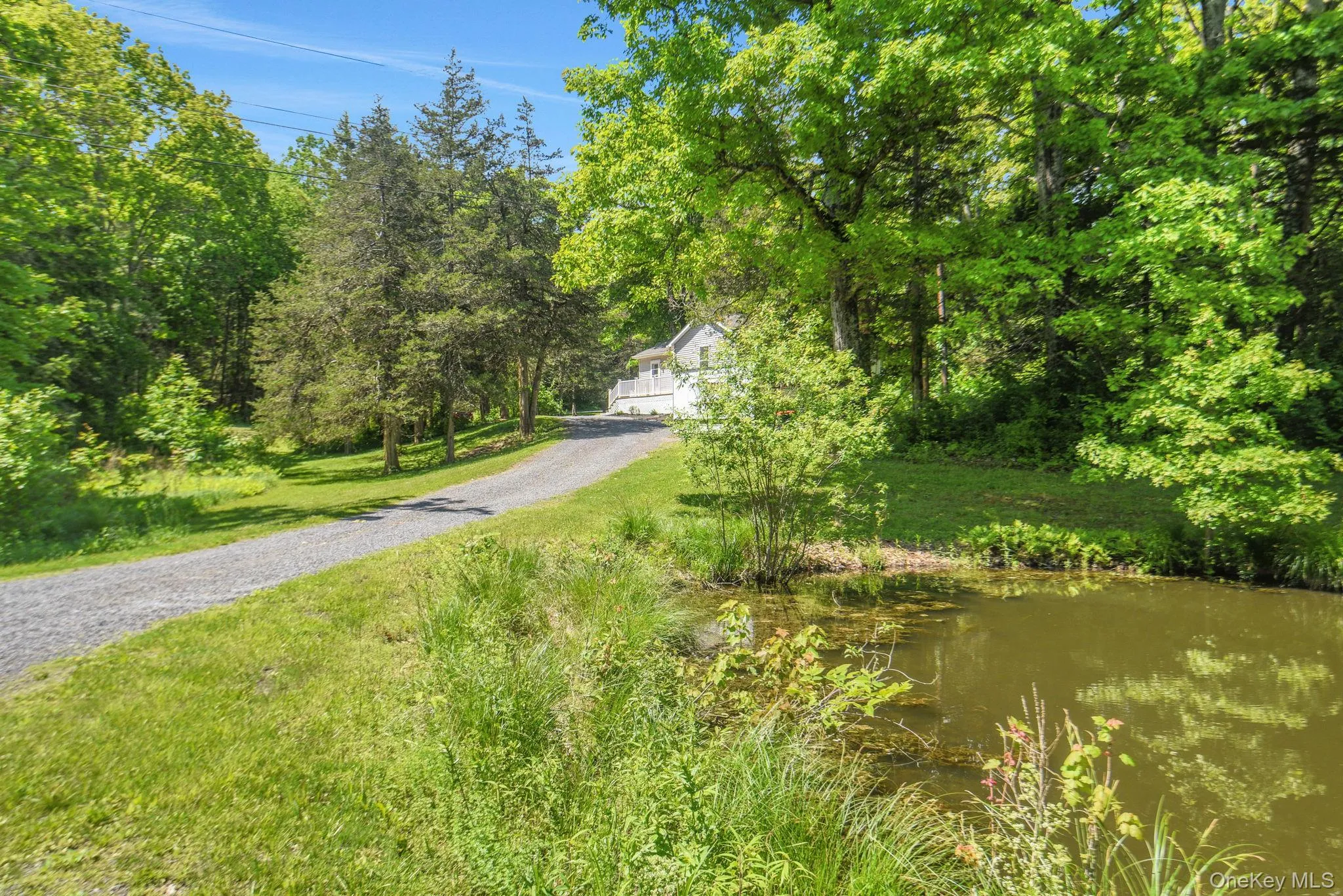 287 Norton Road, Red Hook, NY, 3 Bedrooms Bedrooms, 9 Rooms Rooms,2 BathroomsBathrooms,Residential,For Rent,Norton,0,1008213 287 Norton Road, Red Hook, NY, 3 Bedrooms Bedrooms, 9 Rooms Rooms,2 BathroomsBathrooms,Residential,For Rent,Norton,0,1008213