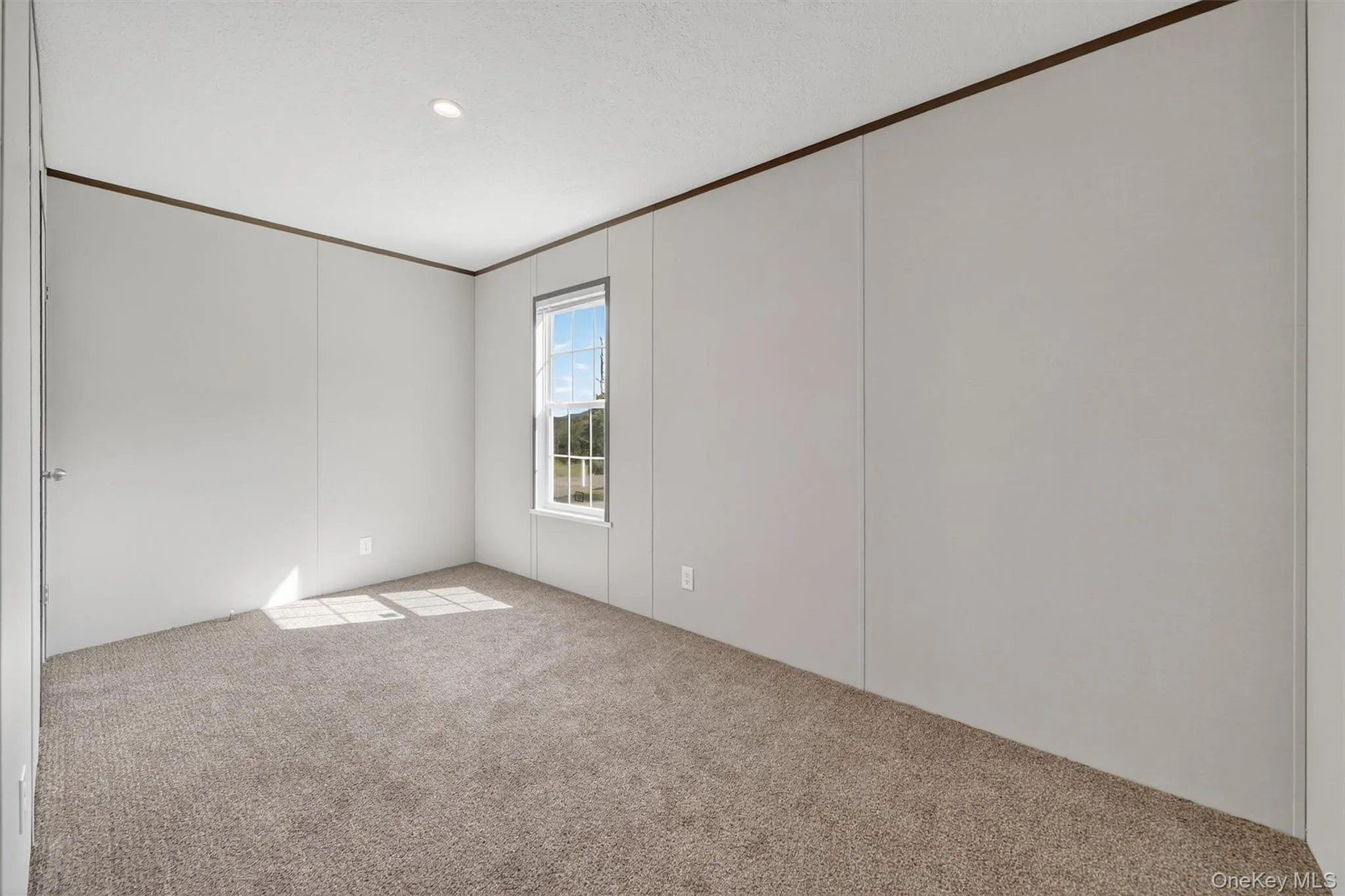Carpeted spare room with crown molding Carpeted spare room with crown molding