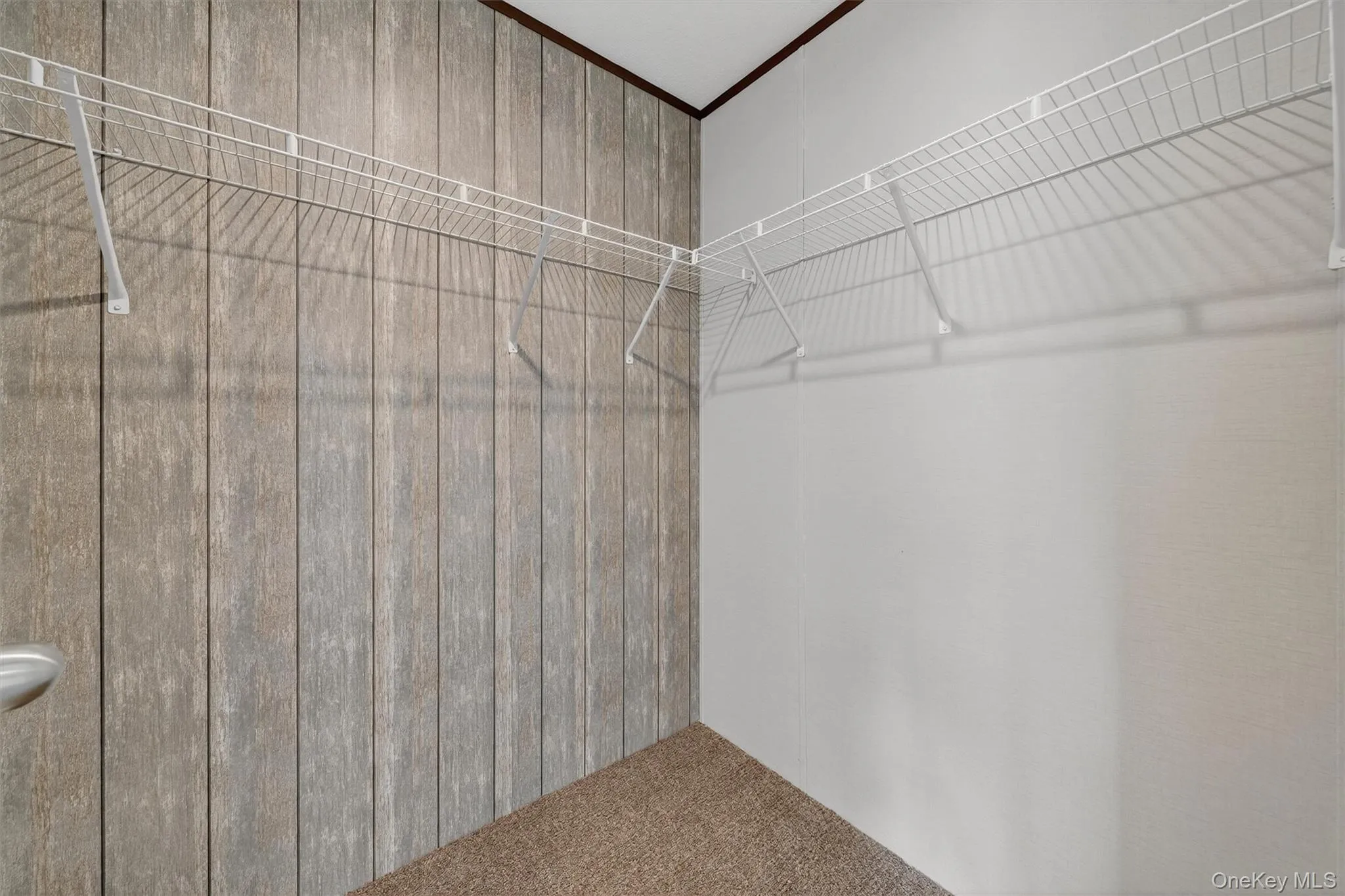 Walk in closet with carpet Walk in closet with carpet