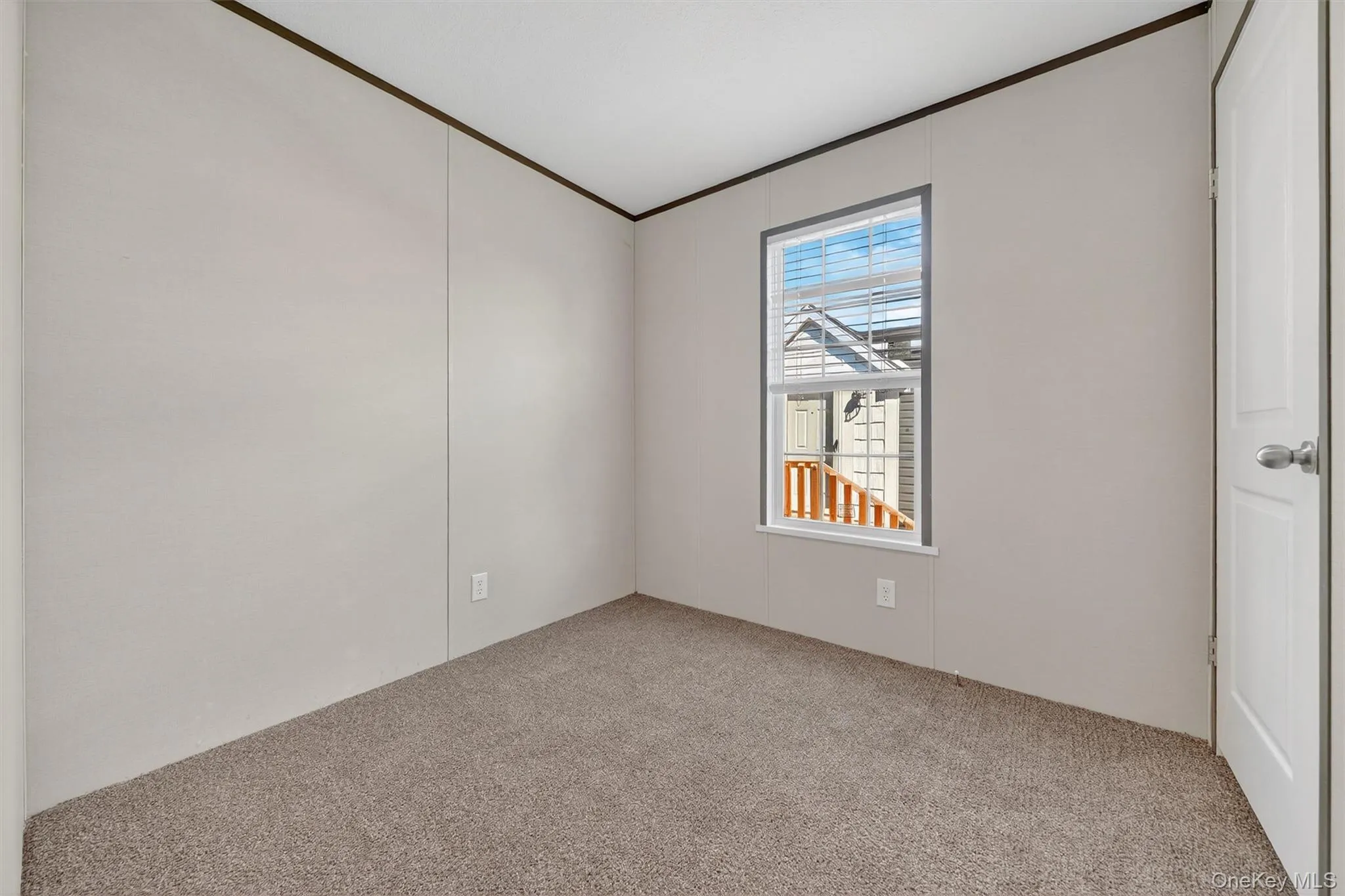 Unfurnished room with crown molding and carpet flooring Unfurnished room with crown molding and carpet flooring