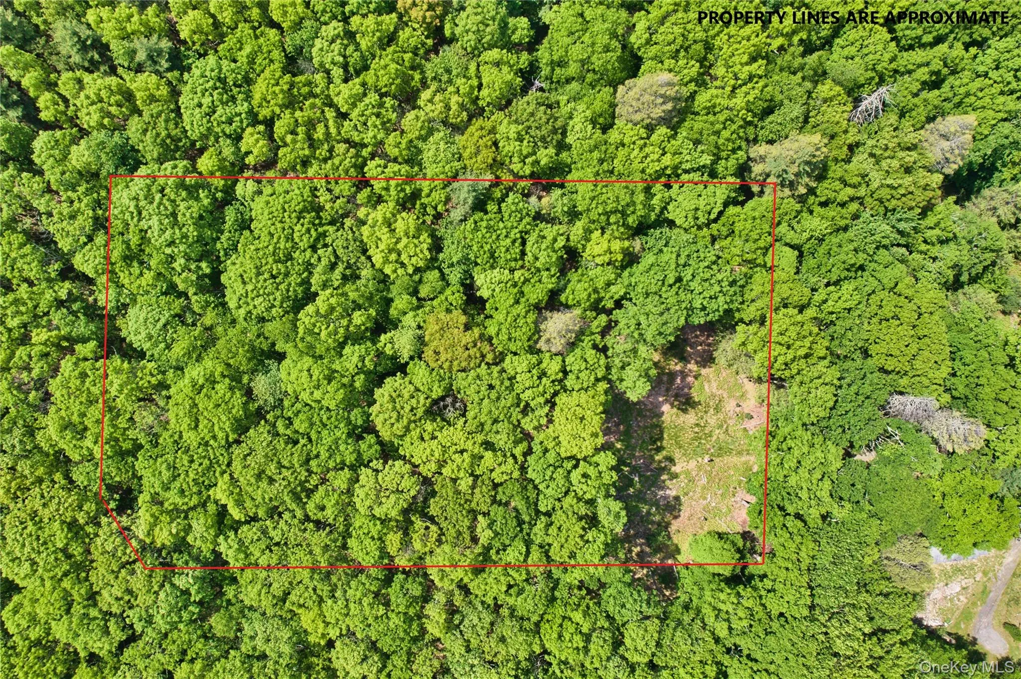 Jersey Road, Mamakating, NY, ,Land,For Rent,Jersey,0,1008264 Jersey Road, Mamakating, NY, ,Land,For Rent,Jersey,0,1008264