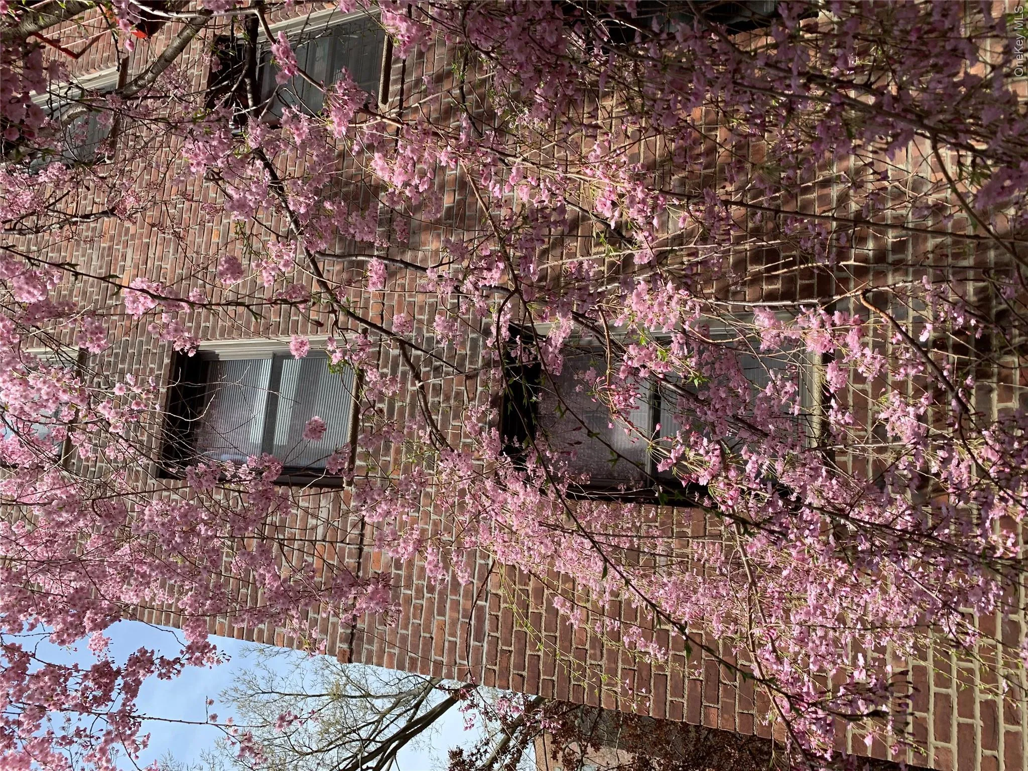 150-29 72 Rd, New York, NY, 1 Bedroom Bedrooms, 3 Rooms Rooms,1 BathroomBathrooms,Residential,For Rent,72 Rd,0,1008265 150-29 72 Rd, New York, NY, 1 Bedroom Bedrooms, 3 Rooms Rooms,1 BathroomBathrooms,Residential,For Rent,72 Rd,0,1008265