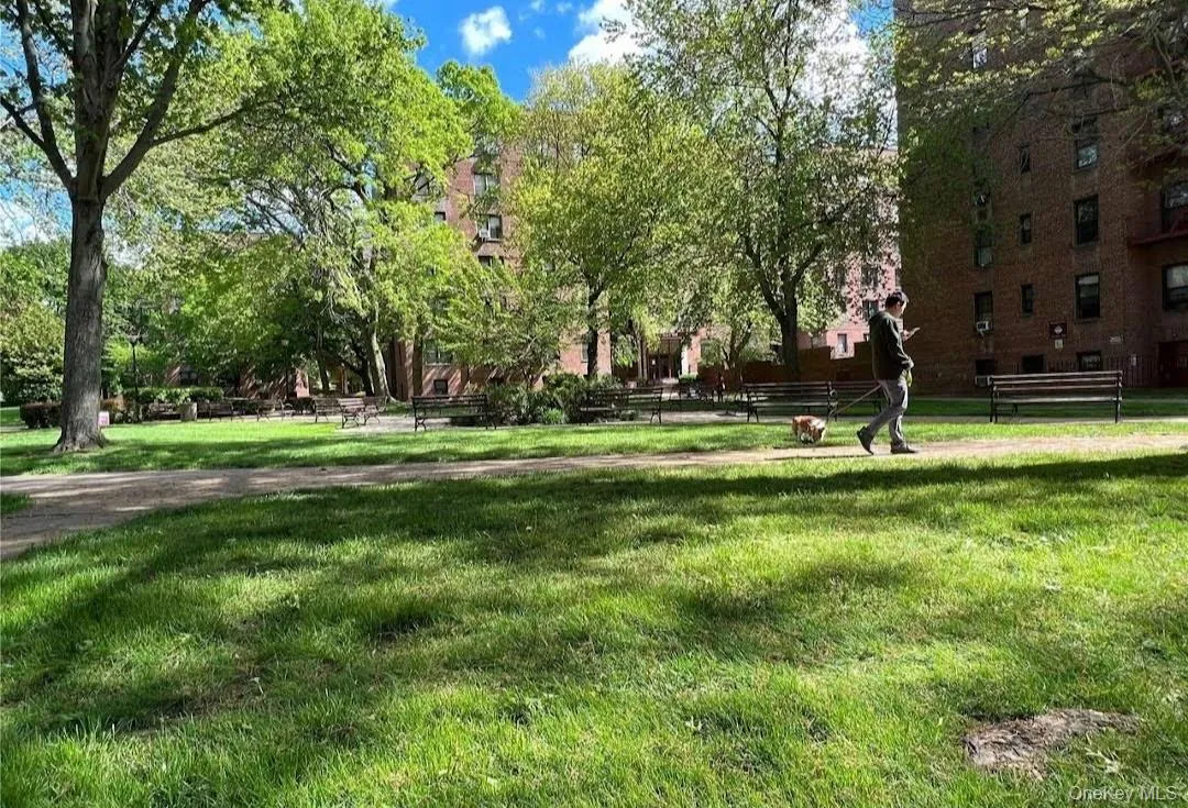 150-29 72 Rd, New York, NY, 1 Bedroom Bedrooms, 3 Rooms Rooms,1 BathroomBathrooms,Residential,For Rent,72 Rd,0,1008265 150-29 72 Rd, New York, NY, 1 Bedroom Bedrooms, 3 Rooms Rooms,1 BathroomBathrooms,Residential,For Rent,72 Rd,0,1008265
