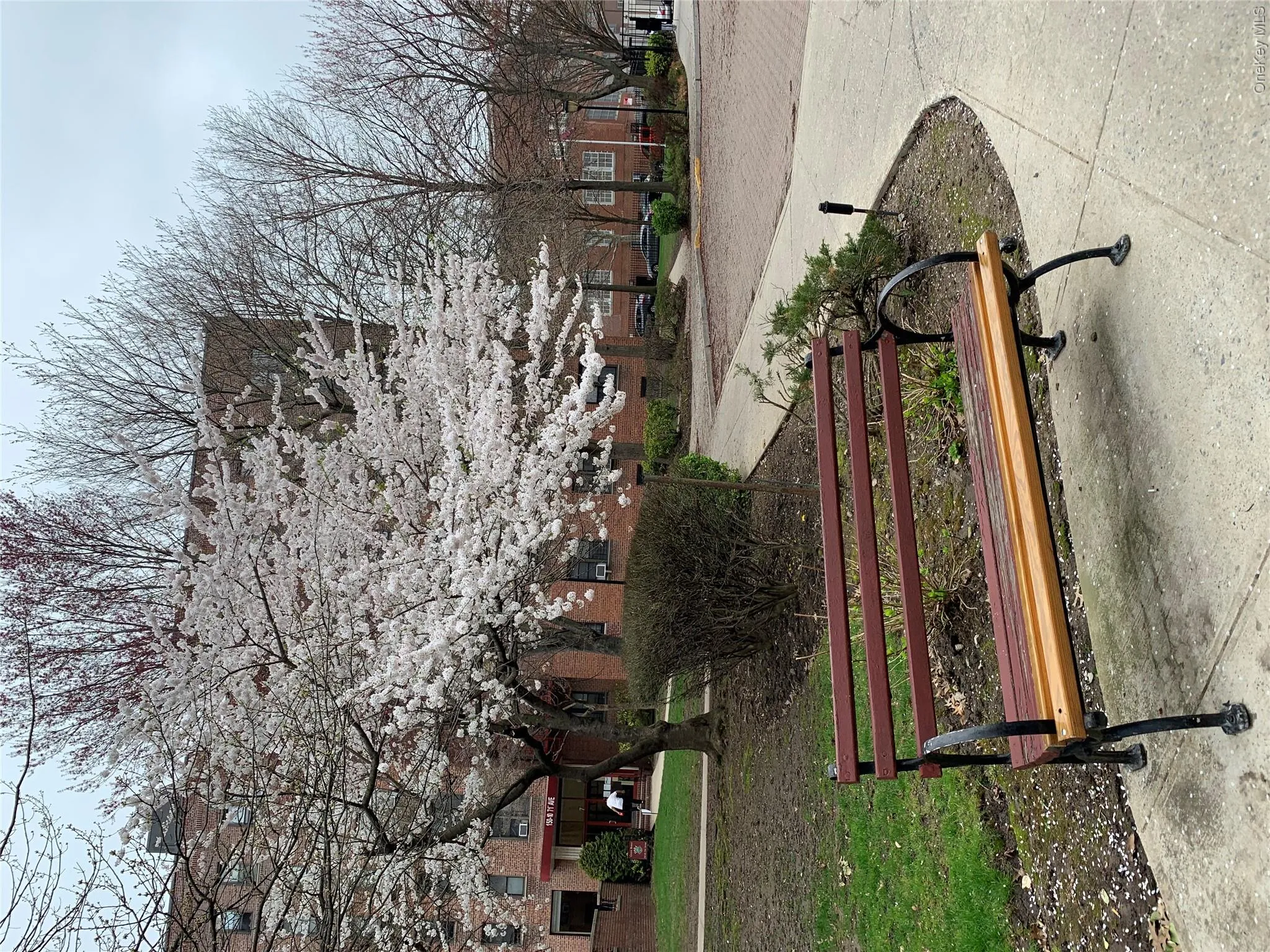 150-29 72 Rd, New York, NY, 1 Bedroom Bedrooms, 3 Rooms Rooms,1 BathroomBathrooms,Residential,For Rent,72 Rd,0,1008265 150-29 72 Rd, New York, NY, 1 Bedroom Bedrooms, 3 Rooms Rooms,1 BathroomBathrooms,Residential,For Rent,72 Rd,0,1008265