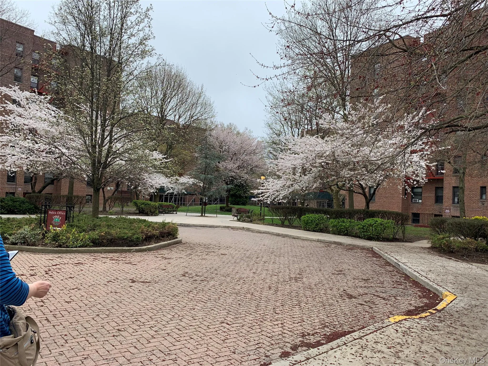 150-29 72 Rd, New York, NY, 1 Bedroom Bedrooms, 3 Rooms Rooms,1 BathroomBathrooms,Residential,For Rent,72 Rd,0,1008265 150-29 72 Rd, New York, NY, 1 Bedroom Bedrooms, 3 Rooms Rooms,1 BathroomBathrooms,Residential,For Rent,72 Rd,0,1008265