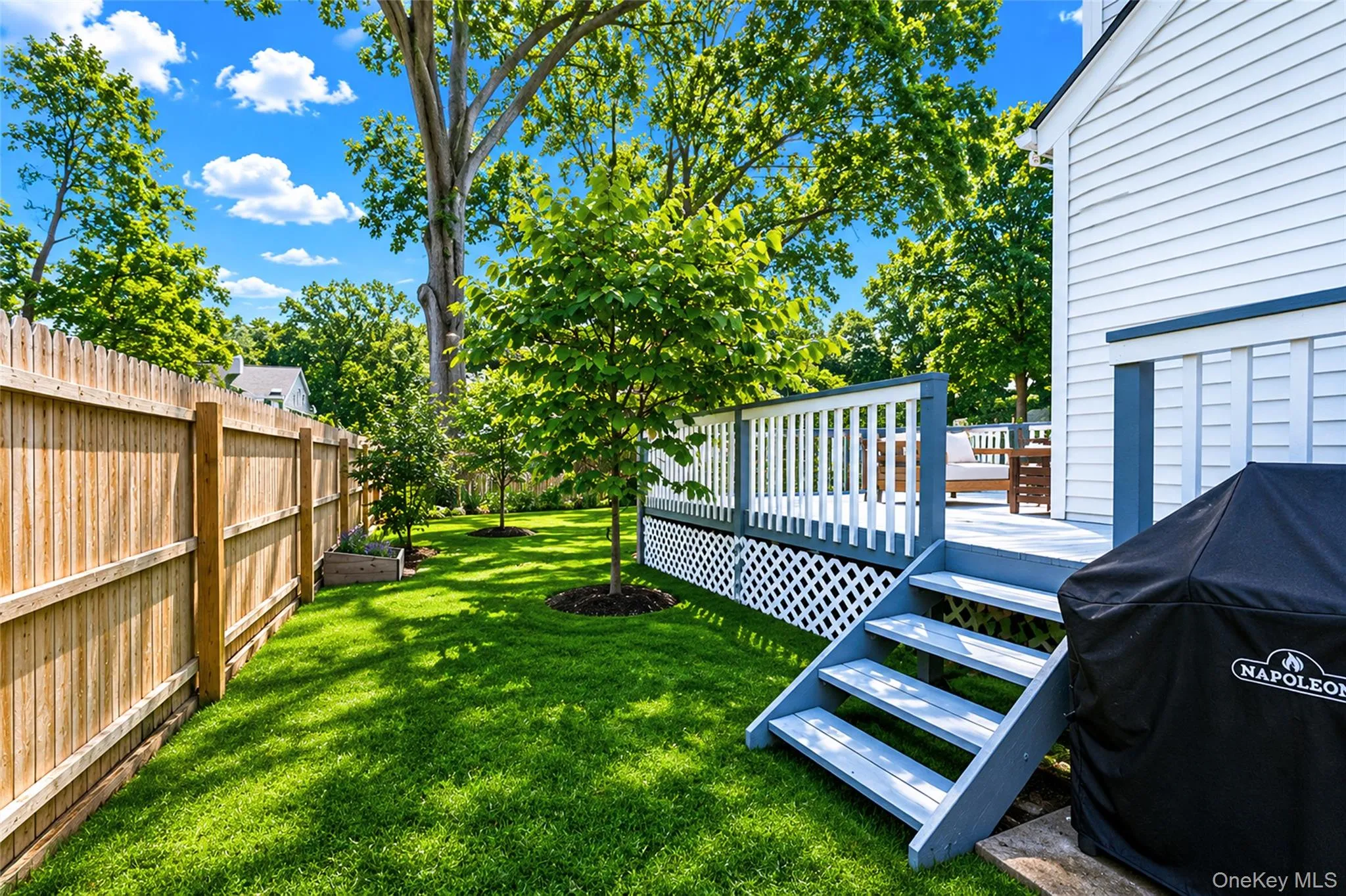 Side yard Side yard