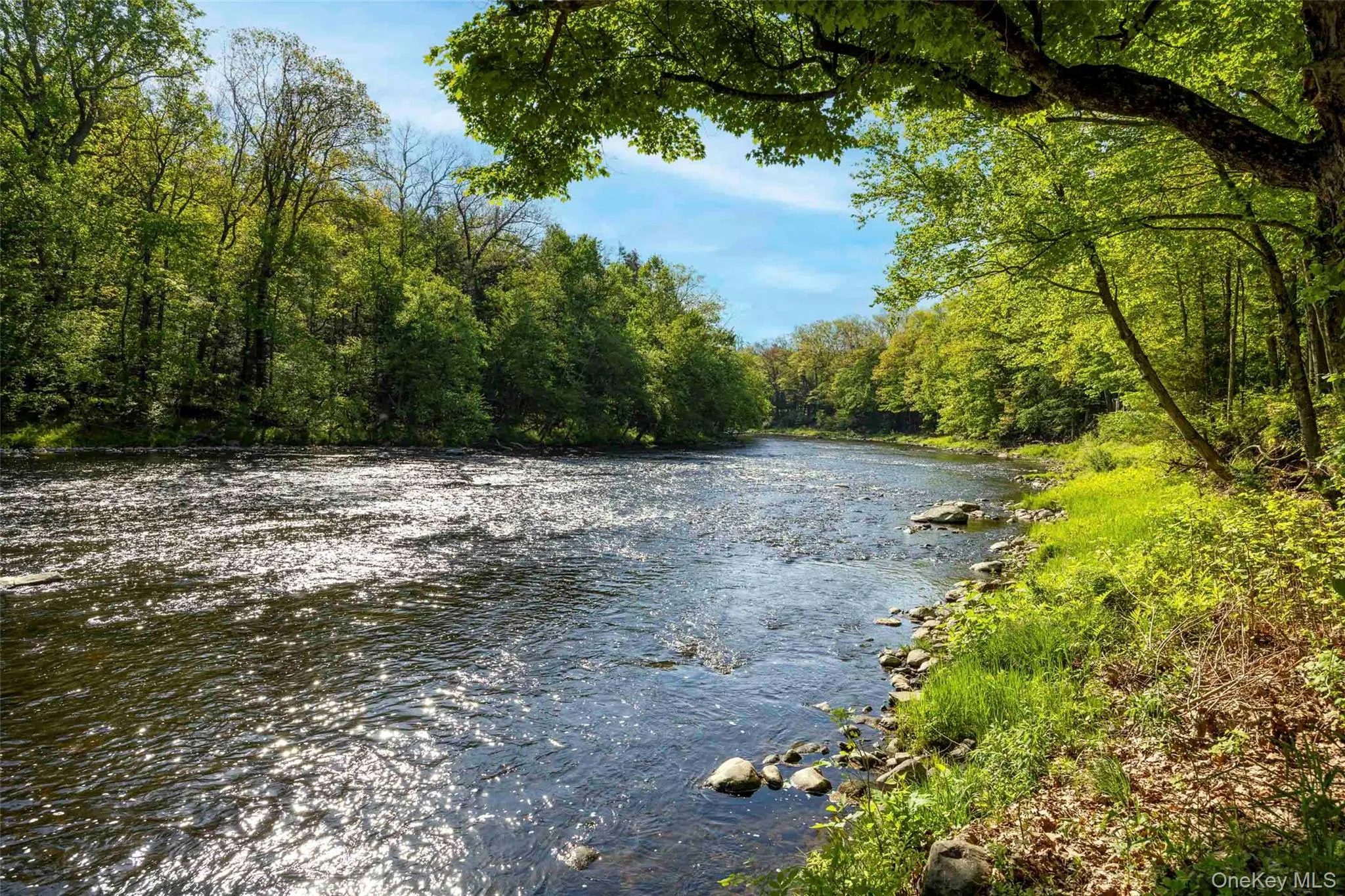 31 Cabin Lane, Rochester, NY, 2 Bedrooms Bedrooms, 6 Rooms Rooms,3 BathroomsBathrooms,Residential,For Rent,Cabin,0,1008282 31 Cabin Lane, Rochester, NY, 2 Bedrooms Bedrooms, 6 Rooms Rooms,3 BathroomsBathrooms,Residential,For Rent,Cabin,0,1008282