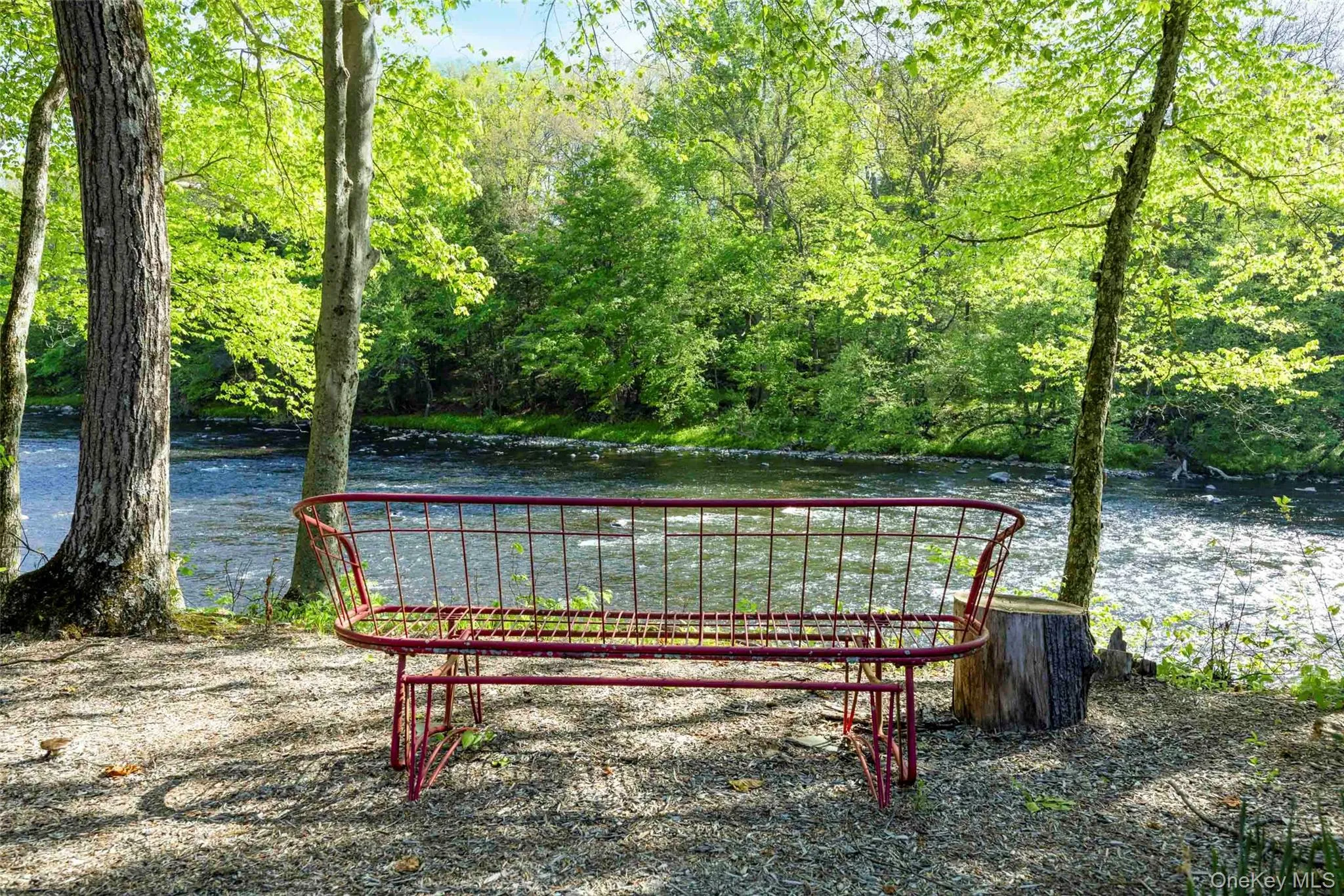 31 Cabin Lane, Rochester, NY, 2 Bedrooms Bedrooms, 6 Rooms Rooms,3 BathroomsBathrooms,Residential,For Rent,Cabin,0,1008282 31 Cabin Lane, Rochester, NY, 2 Bedrooms Bedrooms, 6 Rooms Rooms,3 BathroomsBathrooms,Residential,For Rent,Cabin,0,1008282