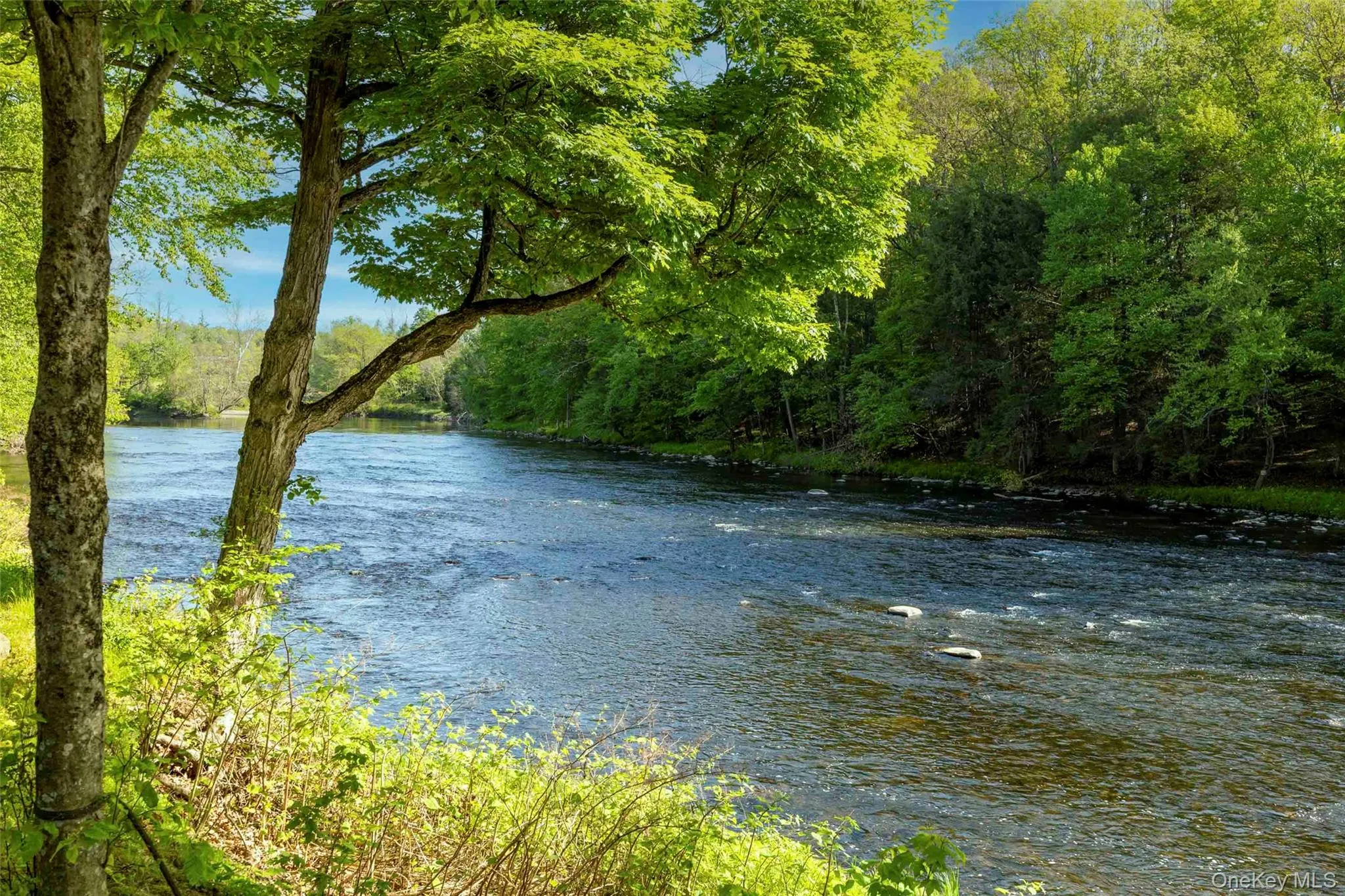 31 Cabin Lane, Rochester, NY, 2 Bedrooms Bedrooms, 6 Rooms Rooms,3 BathroomsBathrooms,Residential,For Rent,Cabin,0,1008282 31 Cabin Lane, Rochester, NY, 2 Bedrooms Bedrooms, 6 Rooms Rooms,3 BathroomsBathrooms,Residential,For Rent,Cabin,0,1008282