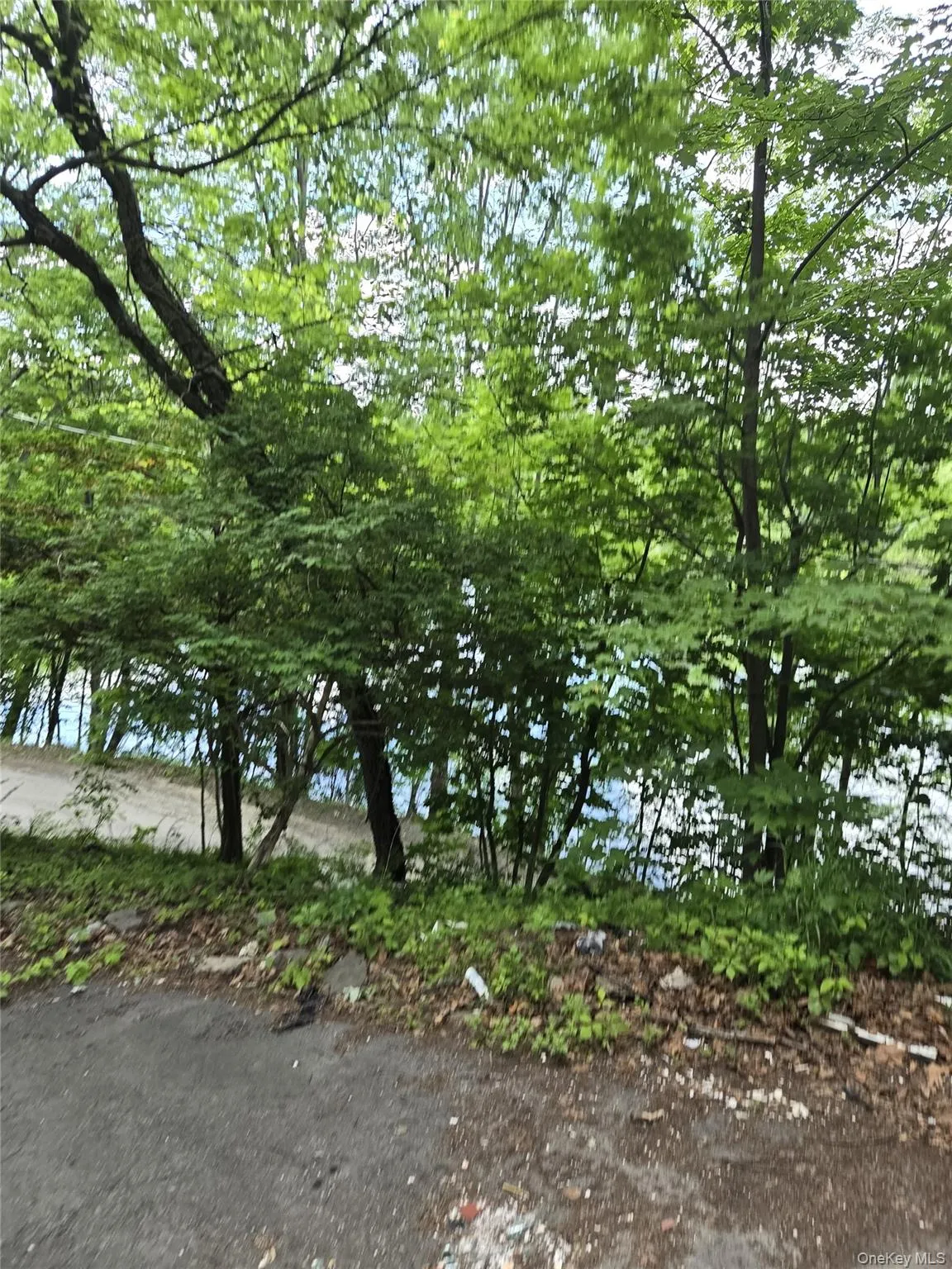 13 Shore Drive, Middletown, NY, 3 Bedrooms Bedrooms, 8 Rooms Rooms,3 BathroomsBathrooms,Residential,For Rent,Shore,0,1008293 13 Shore Drive, Middletown, NY, 3 Bedrooms Bedrooms, 8 Rooms Rooms,3 BathroomsBathrooms,Residential,For Rent,Shore,0,1008293