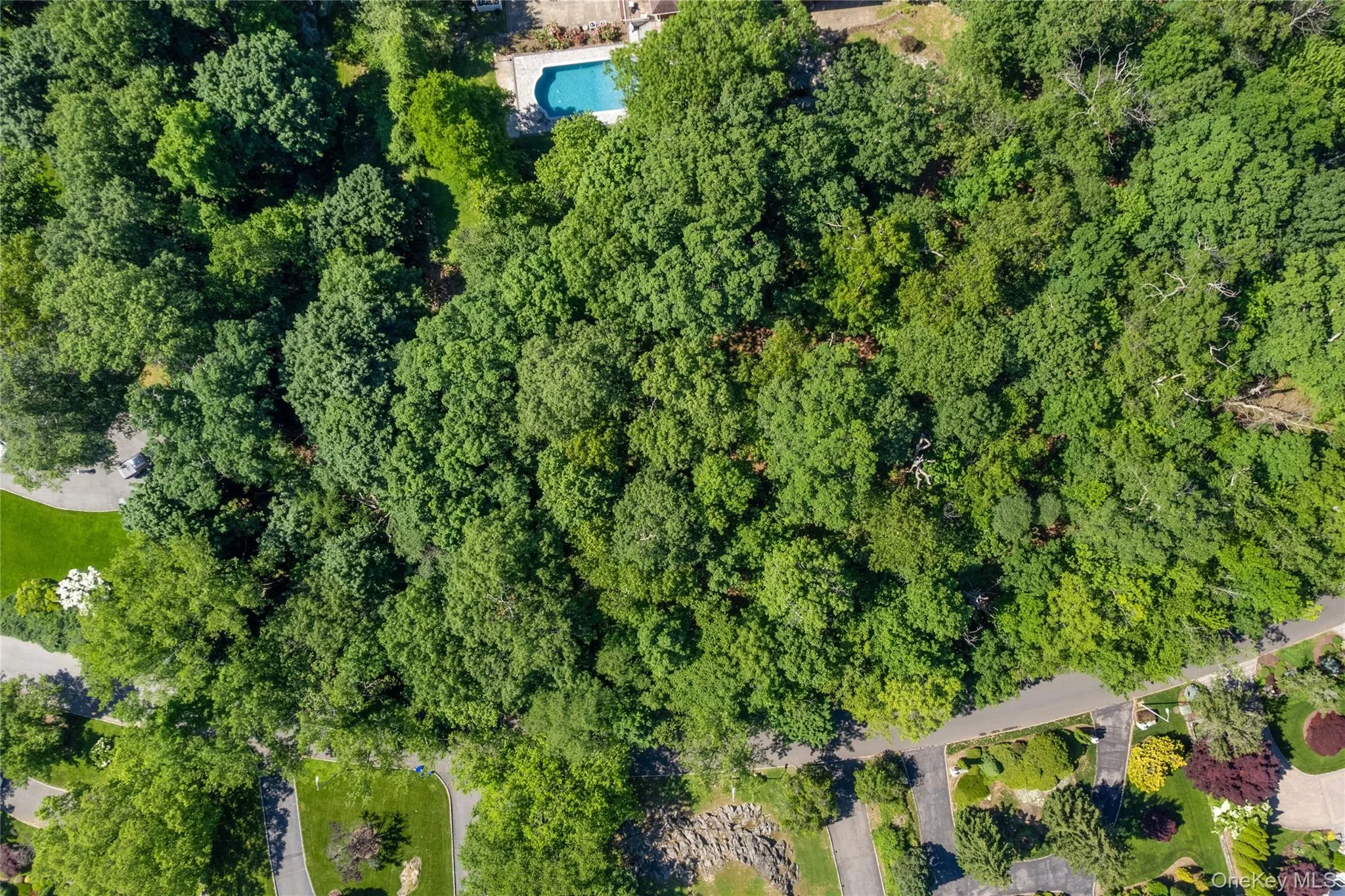 20 Mt. Holly, Harrison, NY, ,Land,For Rent,Mt. Holly,0,1008303 20 Mt. Holly, Harrison, NY, ,Land,For Rent,Mt. Holly,0,1008303