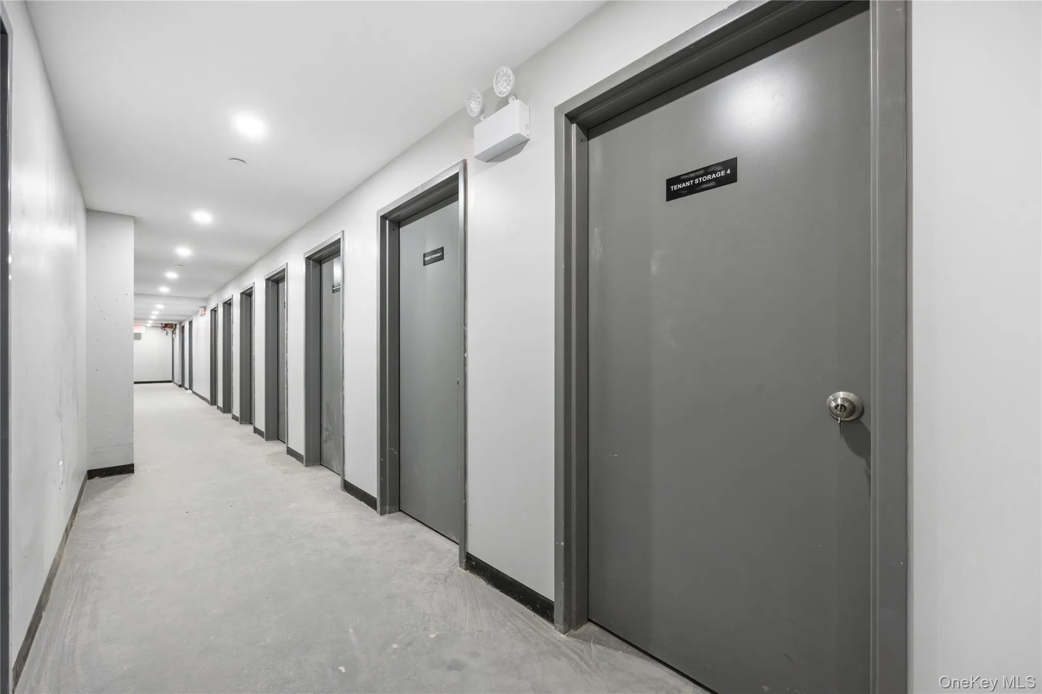 163-07 72nd Ave, New York, NY, 1 Bedroom Bedrooms, 4 Rooms Rooms,1 BathroomBathrooms,Residential,For Rent,72nd Ave,0,1008325 163-07 72nd Ave, New York, NY, 1 Bedroom Bedrooms, 4 Rooms Rooms,1 BathroomBathrooms,Residential,For Rent,72nd Ave,0,1008325
