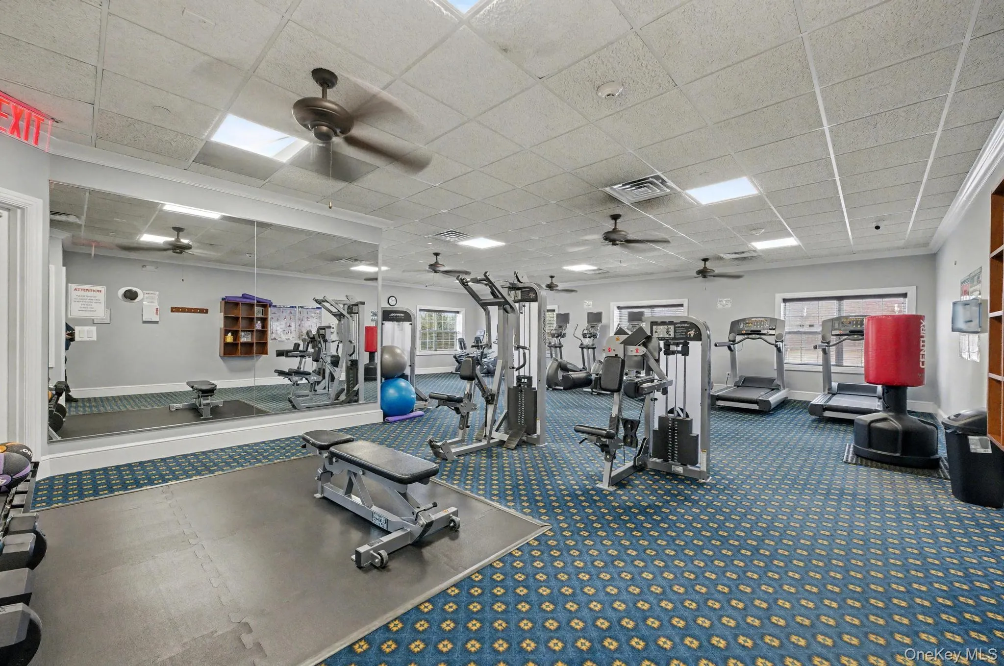 115 Spring Drive, Hempstead, NY, 2 Bedrooms Bedrooms, 5 Rooms Rooms,2 BathroomsBathrooms,Residential,For Rent,Spring,0,1008332 115 Spring Drive, Hempstead, NY, 2 Bedrooms Bedrooms, 5 Rooms Rooms,2 BathroomsBathrooms,Residential,For Rent,Spring,0,1008332
