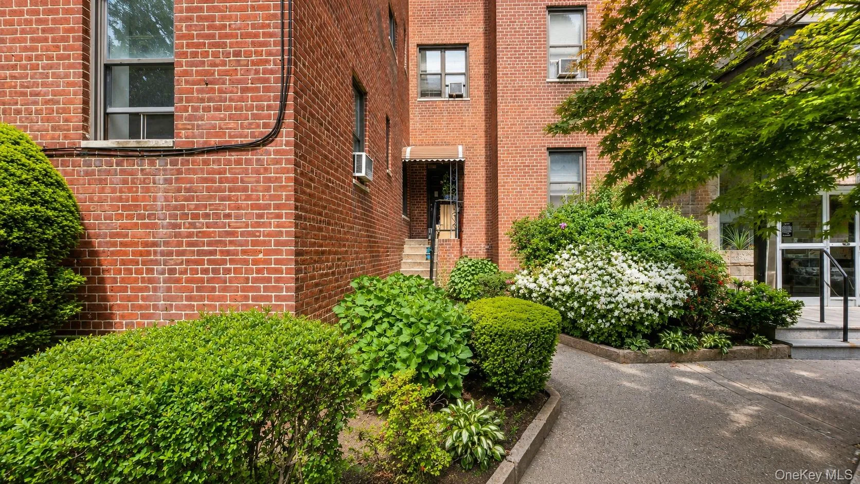 11 Bronx River Road, Yonkers, NY, 2 Bedrooms Bedrooms, 5 Rooms Rooms,1 BathroomBathrooms,Residential,For Rent,Bronx River,0,1008339 11 Bronx River Road, Yonkers, NY, 2 Bedrooms Bedrooms, 5 Rooms Rooms,1 BathroomBathrooms,Residential,For Rent,Bronx River,0,1008339