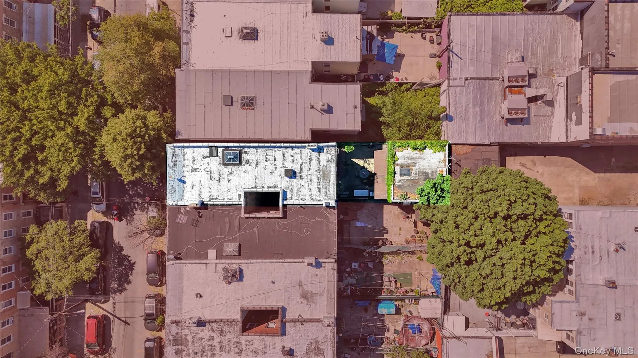 192 Hale Avenue, New York, NY, 8 Bedrooms Bedrooms, 14 Rooms Rooms,3 BathroomsBathrooms,Residential,For Rent,Hale,0,1008344 192 Hale Avenue, New York, NY, 8 Bedrooms Bedrooms, 14 Rooms Rooms,3 BathroomsBathrooms,Residential,For Rent,Hale,0,1008344