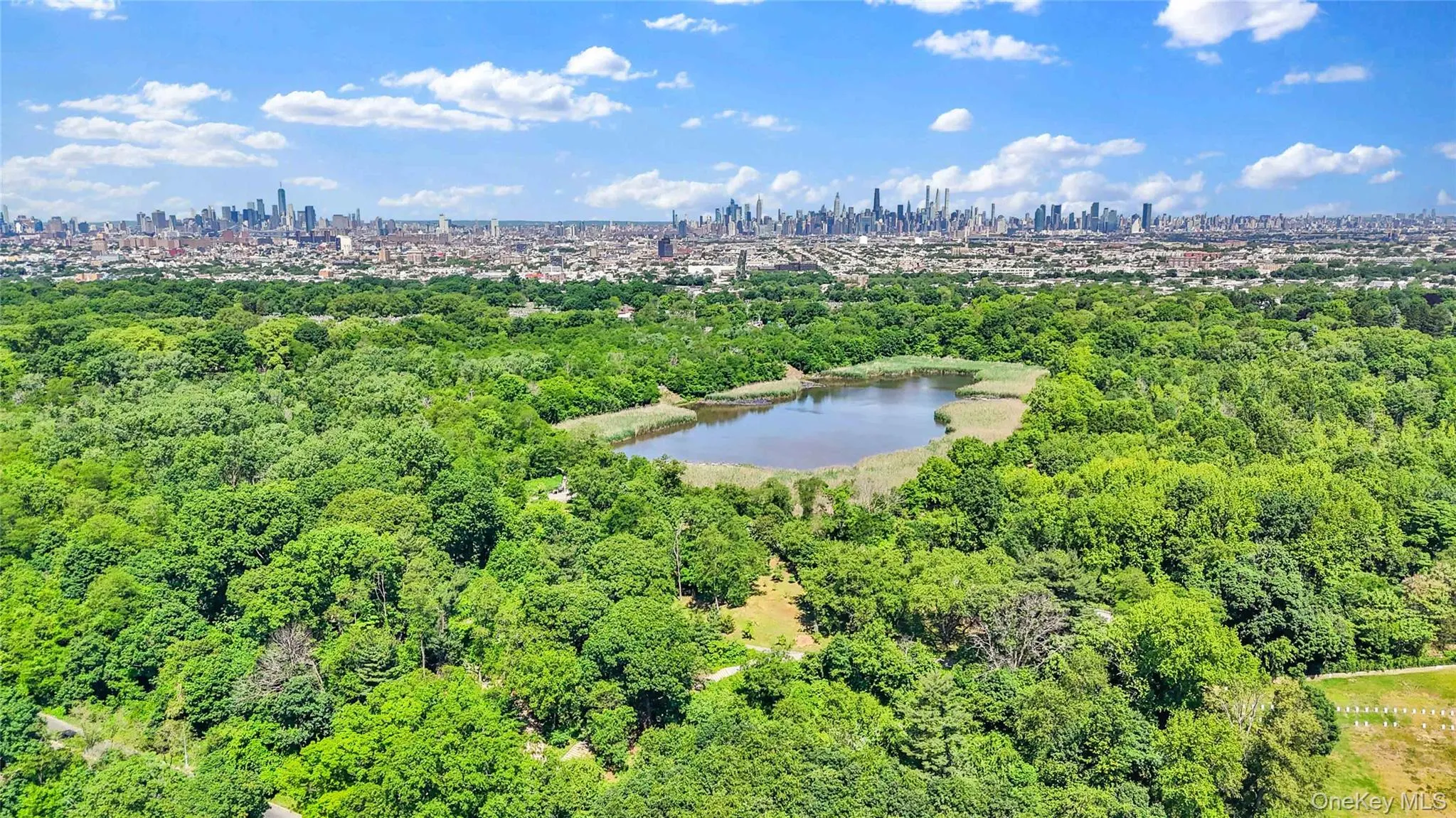 192 Hale Avenue, New York, NY, 8 Bedrooms Bedrooms, 14 Rooms Rooms,3 BathroomsBathrooms,Residential,For Rent,Hale,0,1008344 192 Hale Avenue, New York, NY, 8 Bedrooms Bedrooms, 14 Rooms Rooms,3 BathroomsBathrooms,Residential,For Rent,Hale,0,1008344
