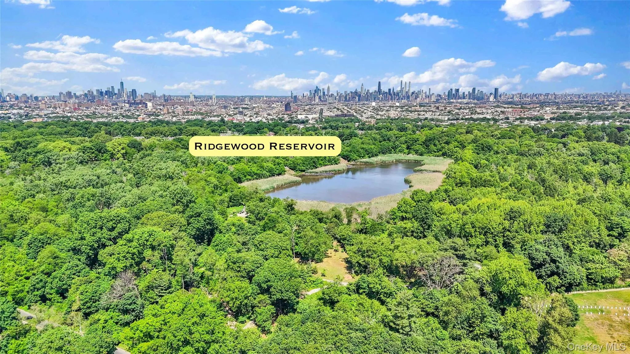 192 Hale Avenue, New York, NY, 8 Bedrooms Bedrooms, 14 Rooms Rooms,3 BathroomsBathrooms,Residential,For Rent,Hale,0,1008344 192 Hale Avenue, New York, NY, 8 Bedrooms Bedrooms, 14 Rooms Rooms,3 BathroomsBathrooms,Residential,For Rent,Hale,0,1008344