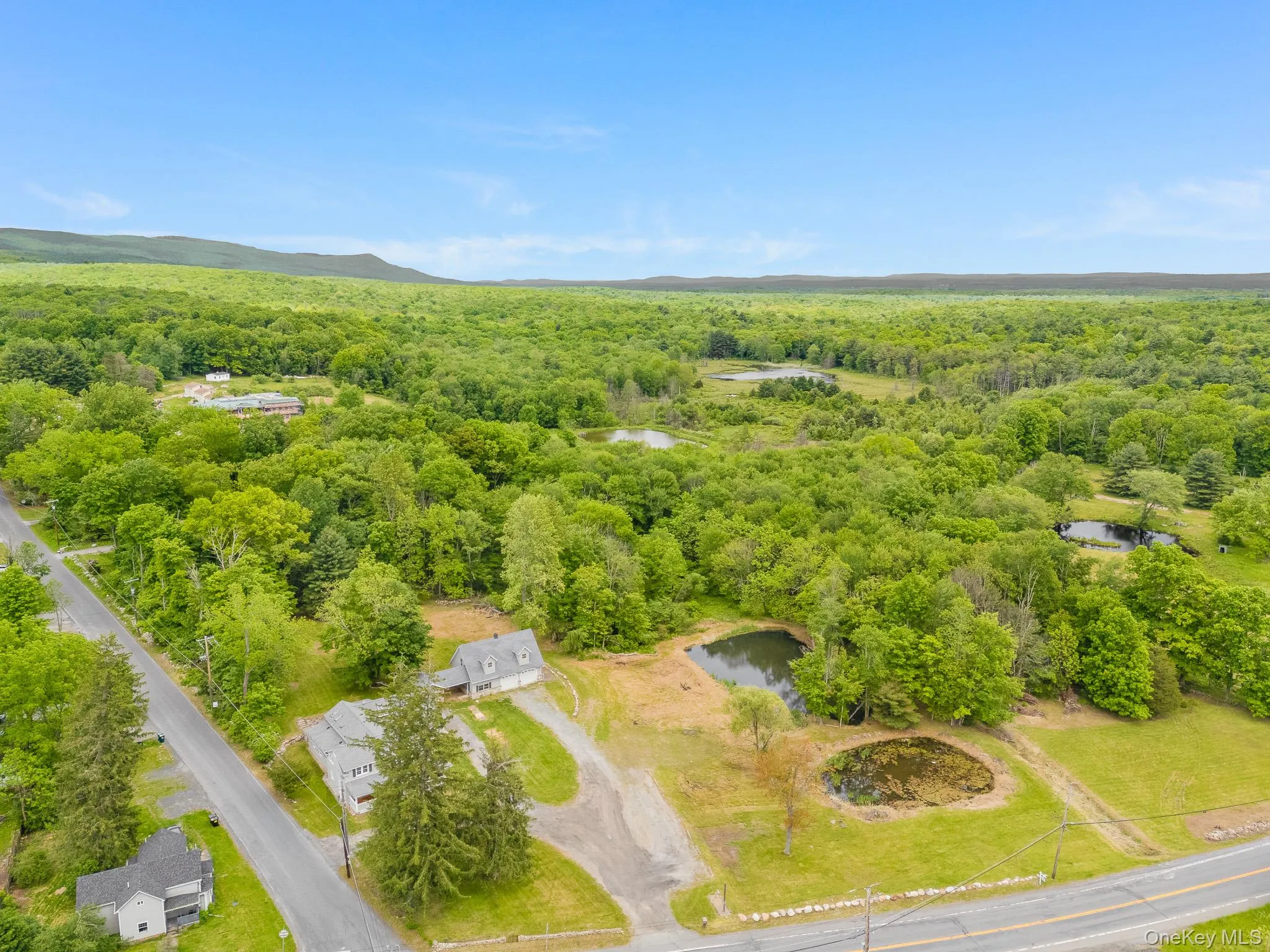Expansive wooded landscape featuring two visible ponds and distant mountainous terrain Expansive wooded landscape featuring two visible ponds and distant mountainous terrain