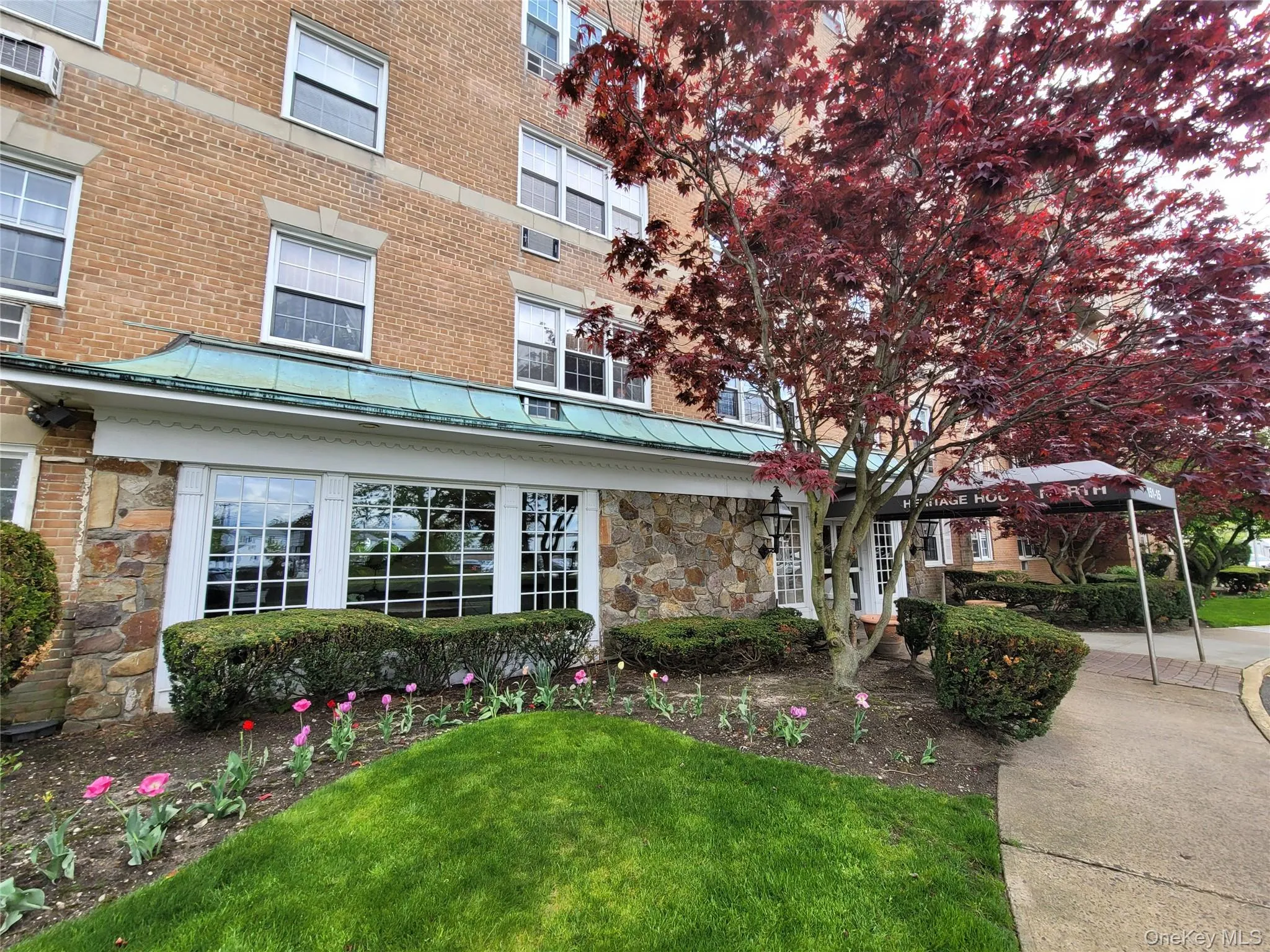 151-15 84th Street, New York, NY, 3 Rooms Rooms,1 BathroomBathrooms,Residential,For Rent,84th,0,1008356 151-15 84th Street, New York, NY, 3 Rooms Rooms,1 BathroomBathrooms,Residential,For Rent,84th,0,1008356