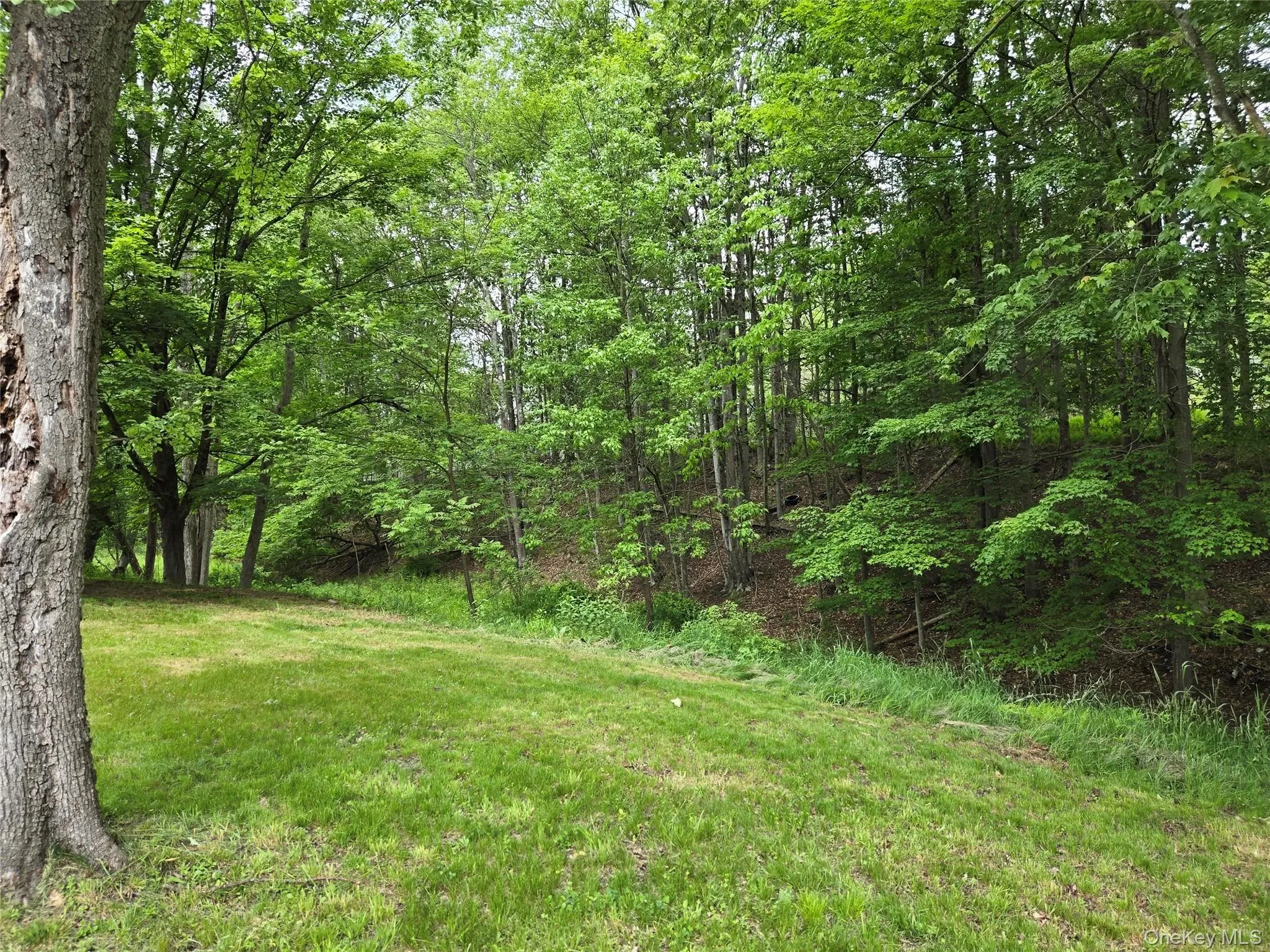 11 Spring Glen Road, Fallsburg, NY, 4 Bedrooms Bedrooms, 6 Rooms Rooms,2 BathroomsBathrooms,Residential,For Rent,Spring Glen,0,1008357 11 Spring Glen Road, Fallsburg, NY, 4 Bedrooms Bedrooms, 6 Rooms Rooms,2 BathroomsBathrooms,Residential,For Rent,Spring Glen,0,1008357