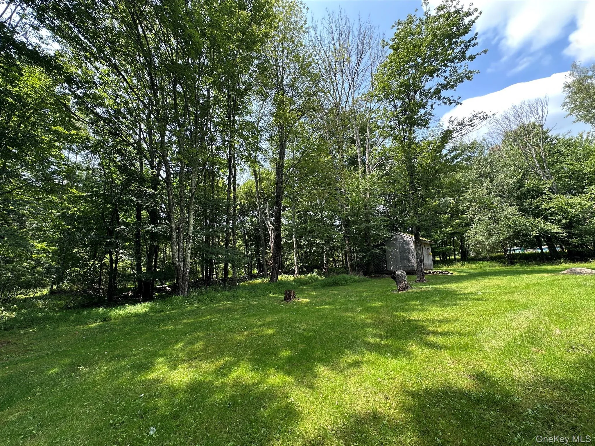 81 Lindholm Road, Fallsburg, NY, 4 Bedrooms Bedrooms, 6 Rooms Rooms,2 BathroomsBathrooms,Residential,For Rent,Lindholm,0,1008393 81 Lindholm Road, Fallsburg, NY, 4 Bedrooms Bedrooms, 6 Rooms Rooms,2 BathroomsBathrooms,Residential,For Rent,Lindholm,0,1008393