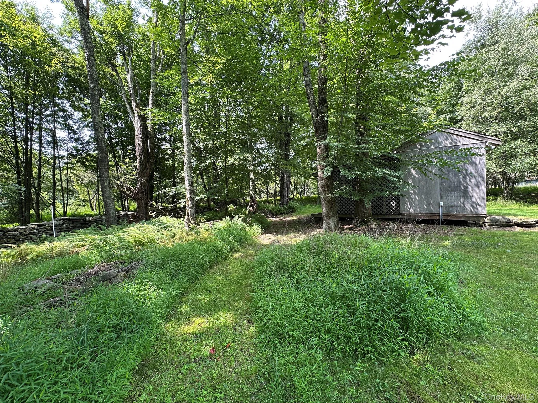 81 Lindholm Road, Fallsburg, NY, 4 Bedrooms Bedrooms, 6 Rooms Rooms,2 BathroomsBathrooms,Residential,For Rent,Lindholm,0,1008393 81 Lindholm Road, Fallsburg, NY, 4 Bedrooms Bedrooms, 6 Rooms Rooms,2 BathroomsBathrooms,Residential,For Rent,Lindholm,0,1008393