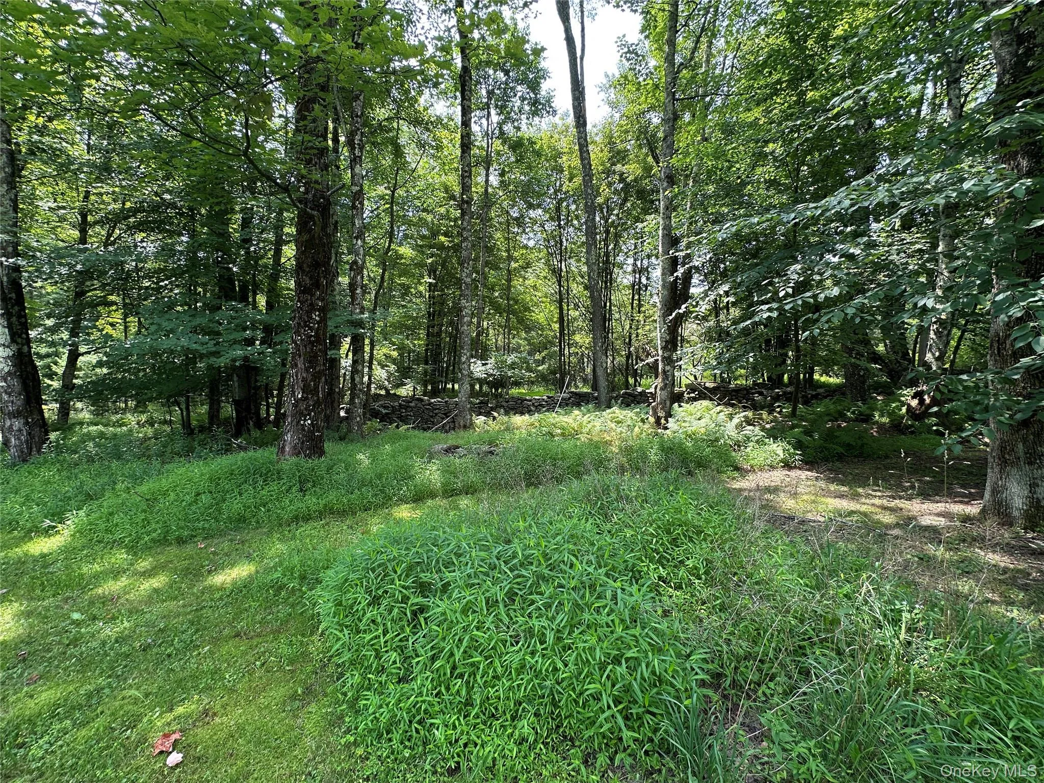 81 Lindholm Road, Fallsburg, NY, 4 Bedrooms Bedrooms, 6 Rooms Rooms,2 BathroomsBathrooms,Residential,For Rent,Lindholm,0,1008393 81 Lindholm Road, Fallsburg, NY, 4 Bedrooms Bedrooms, 6 Rooms Rooms,2 BathroomsBathrooms,Residential,For Rent,Lindholm,0,1008393