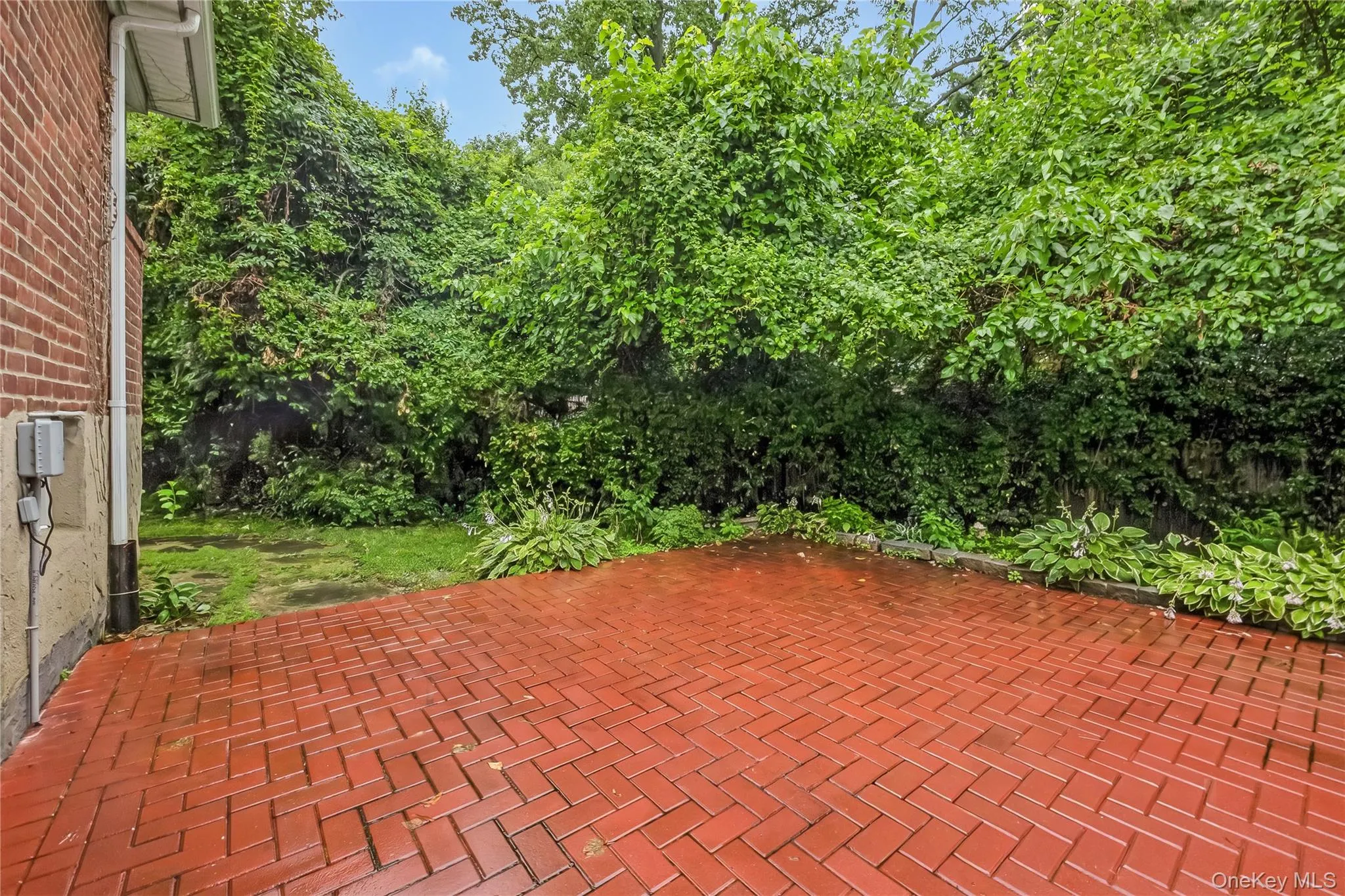 46-06th 247 Street, New York, NY, 3 Bedrooms Bedrooms, 6 Rooms Rooms,1 BathroomBathrooms,Residential,For Rent,247,0,1008408 46-06th 247 Street, New York, NY, 3 Bedrooms Bedrooms, 6 Rooms Rooms,1 BathroomBathrooms,Residential,For Rent,247,0,1008408