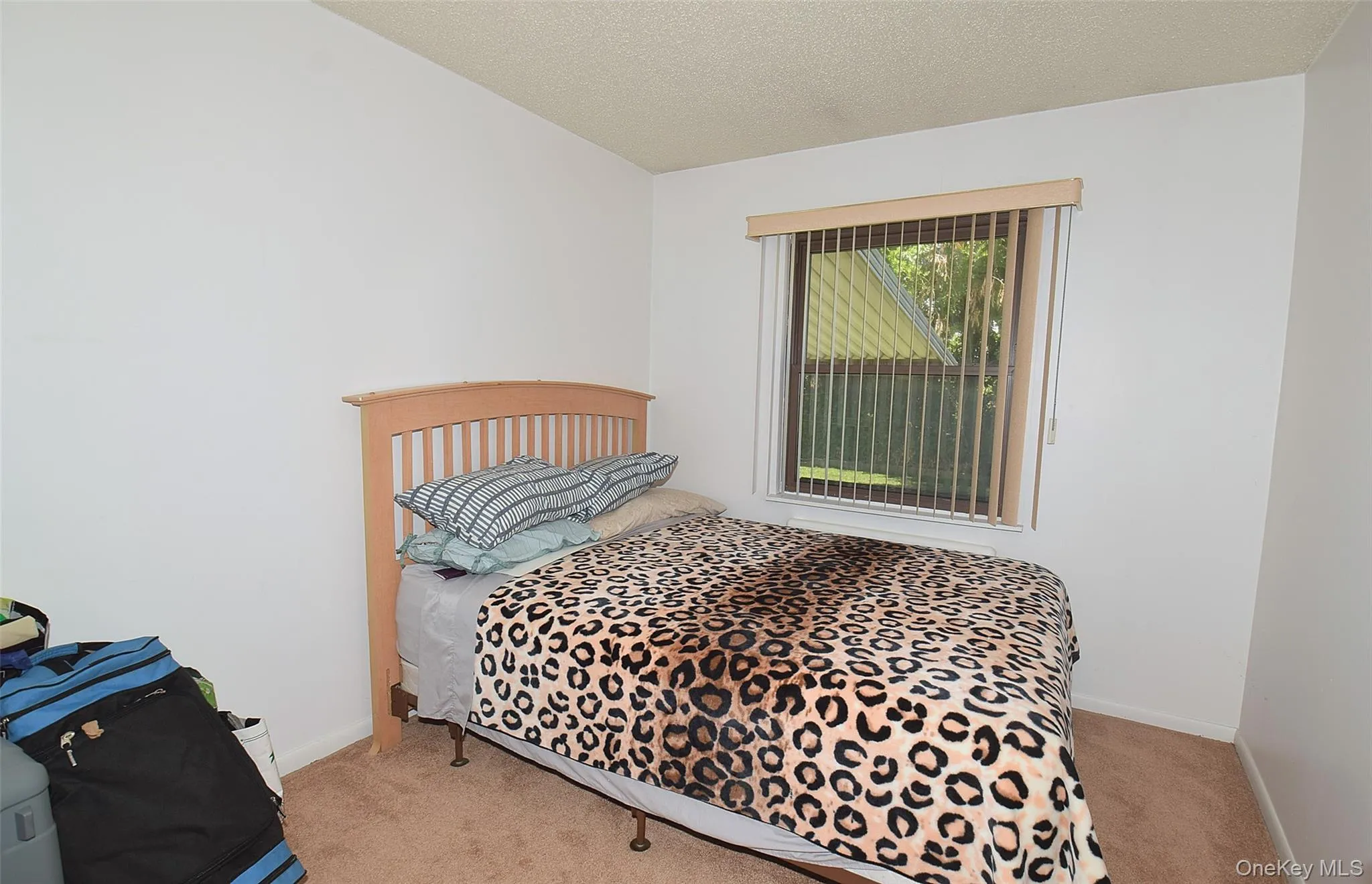 792 Bauer Street, Hempstead, NY, 3 Bedrooms Bedrooms, 7 Rooms Rooms,1 BathroomBathrooms,Residential,For Rent,Bauer,0,KEY1008417 792 Bauer Street, Hempstead, NY, 3 Bedrooms Bedrooms, 7 Rooms Rooms,1 BathroomBathrooms,Residential,For Rent,Bauer,0,KEY1008417