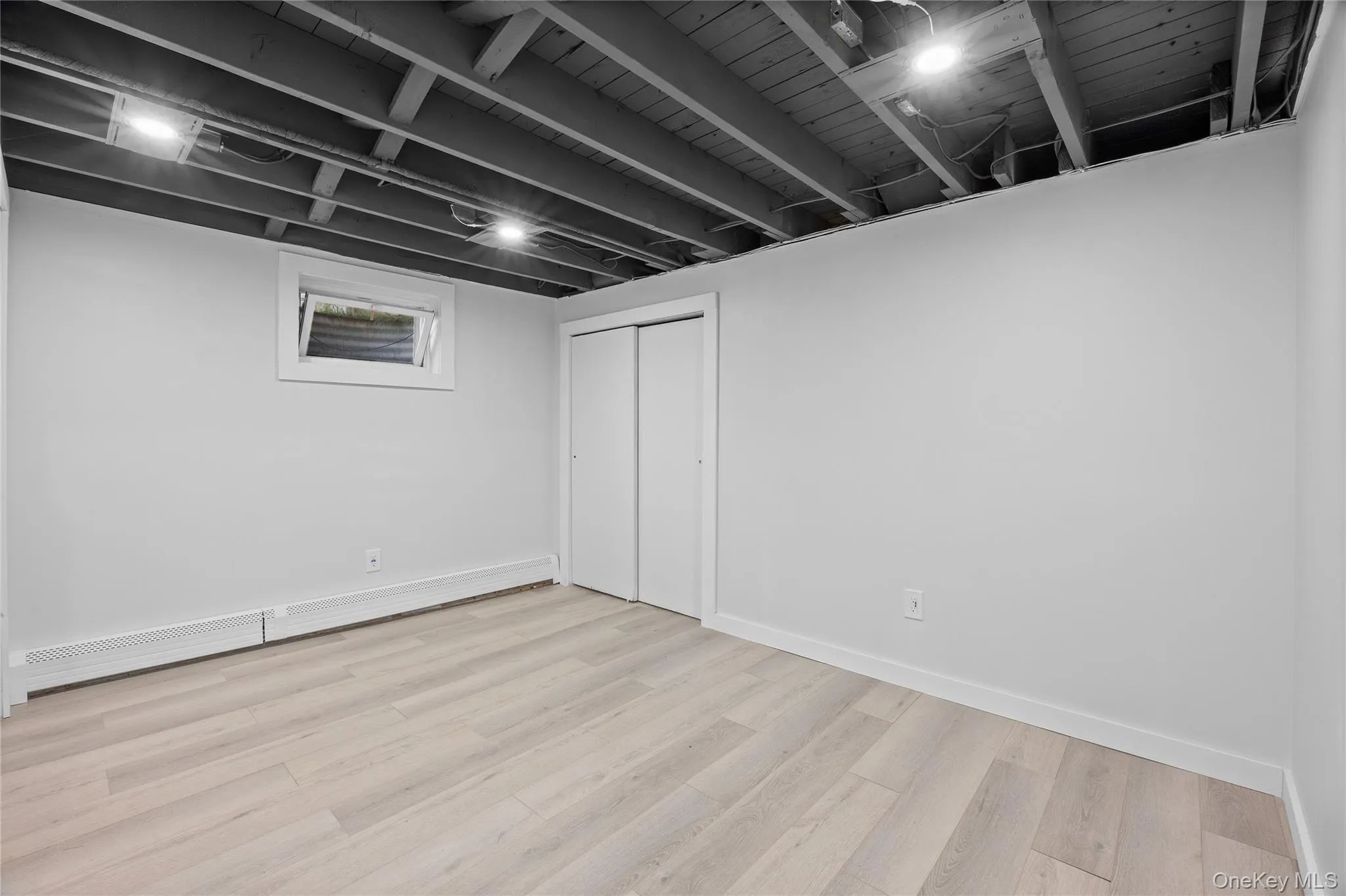basement - Bonus room basement - Bonus room