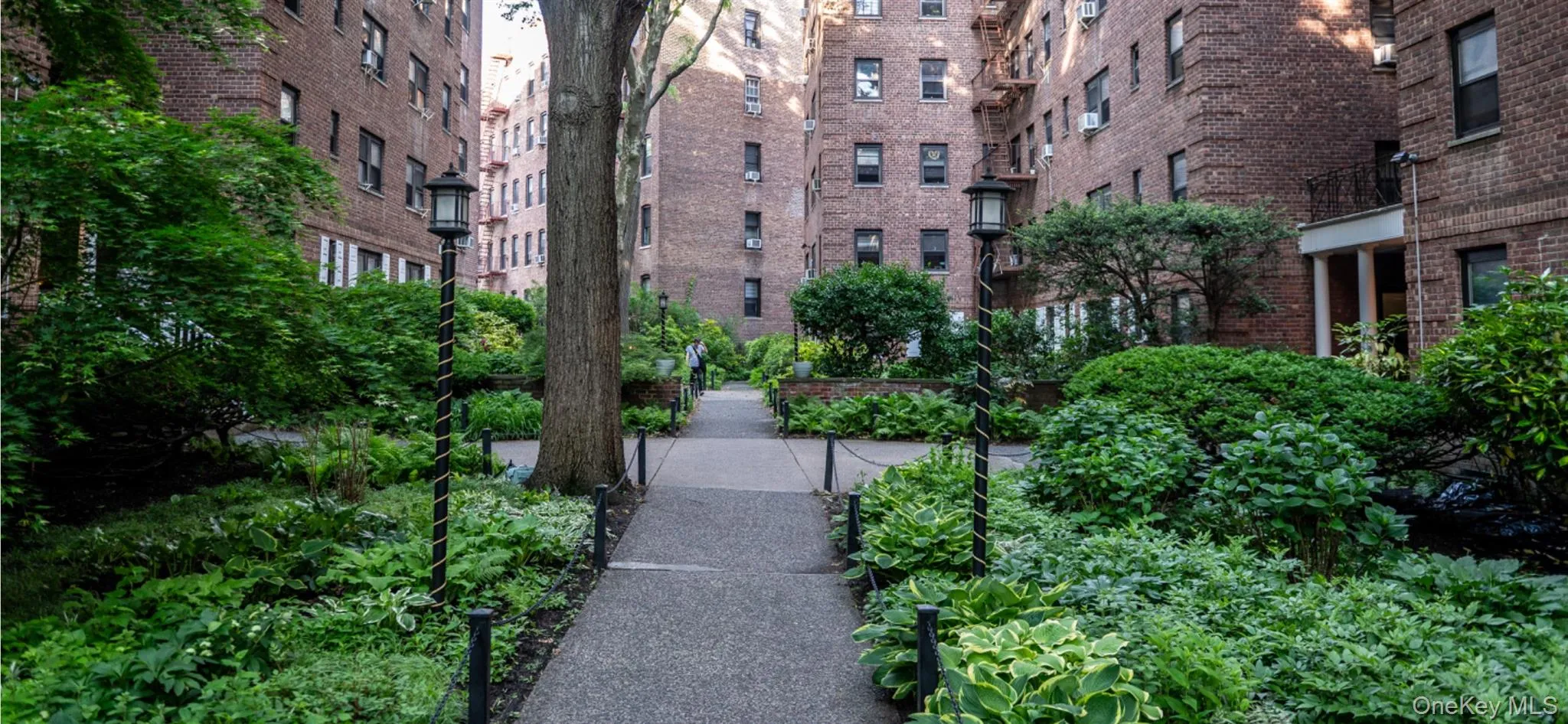 83-83 118th Street, New York, NY, 1 Bedroom Bedrooms, 3 Rooms Rooms,1 BathroomBathrooms,Residential,For Rent,118th,0,1008448 83-83 118th Street, New York, NY, 1 Bedroom Bedrooms, 3 Rooms Rooms,1 BathroomBathrooms,Residential,For Rent,118th,0,1008448