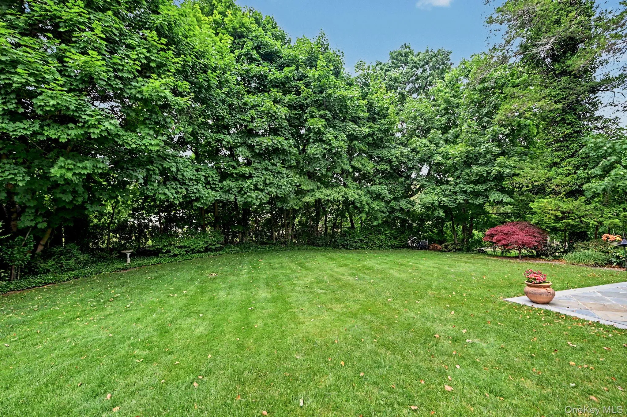 18 Fenimore Drive, Harrison, NY, 4 Bedrooms Bedrooms, 10 Rooms Rooms,3 BathroomsBathrooms,Residential,For Rent,Fenimore,0,1008450 18 Fenimore Drive, Harrison, NY, 4 Bedrooms Bedrooms, 10 Rooms Rooms,3 BathroomsBathrooms,Residential,For Rent,Fenimore,0,1008450