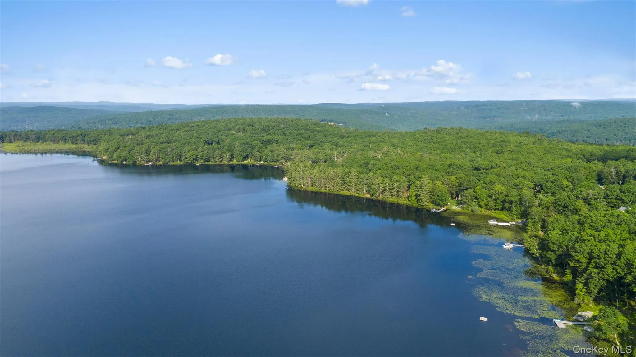 Drone / aerial view of a heavily wooded area and a large body of water Drone / aerial view of a heavily wooded area and a large body of water