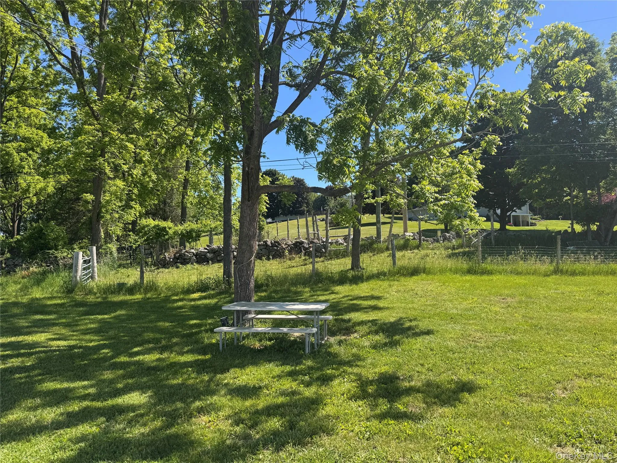 Shaded front yard with picnic table for tenants use. Shaded front yard with picnic table for tenants use.
